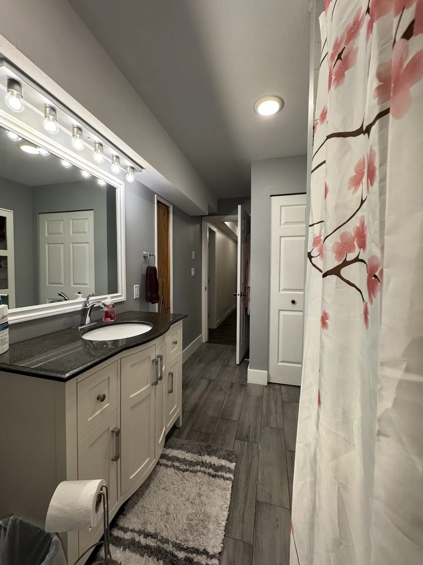 Basement 20454 91a Avenue