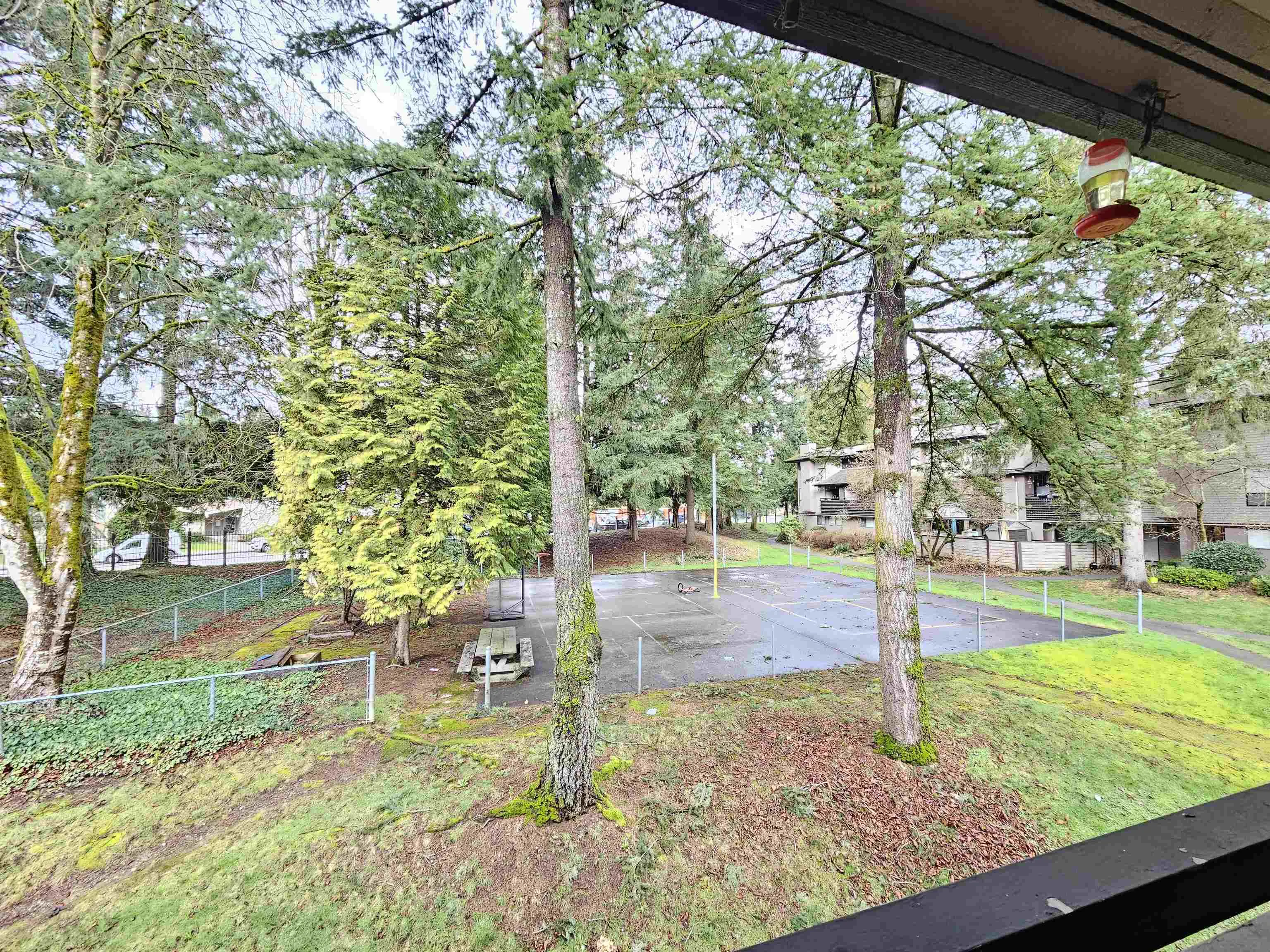 10539 Holly Park Lane