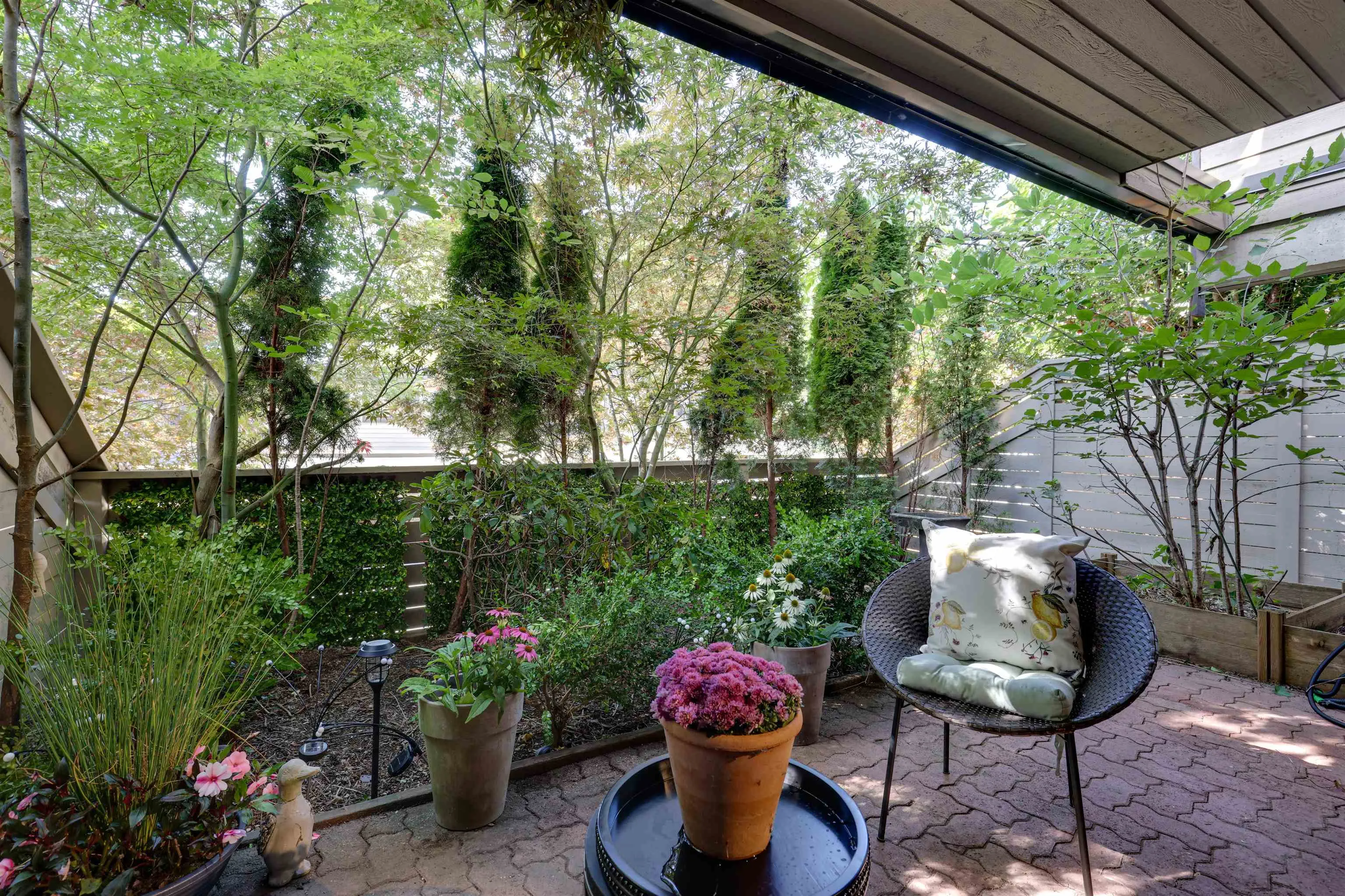 4035 Springtree Drive