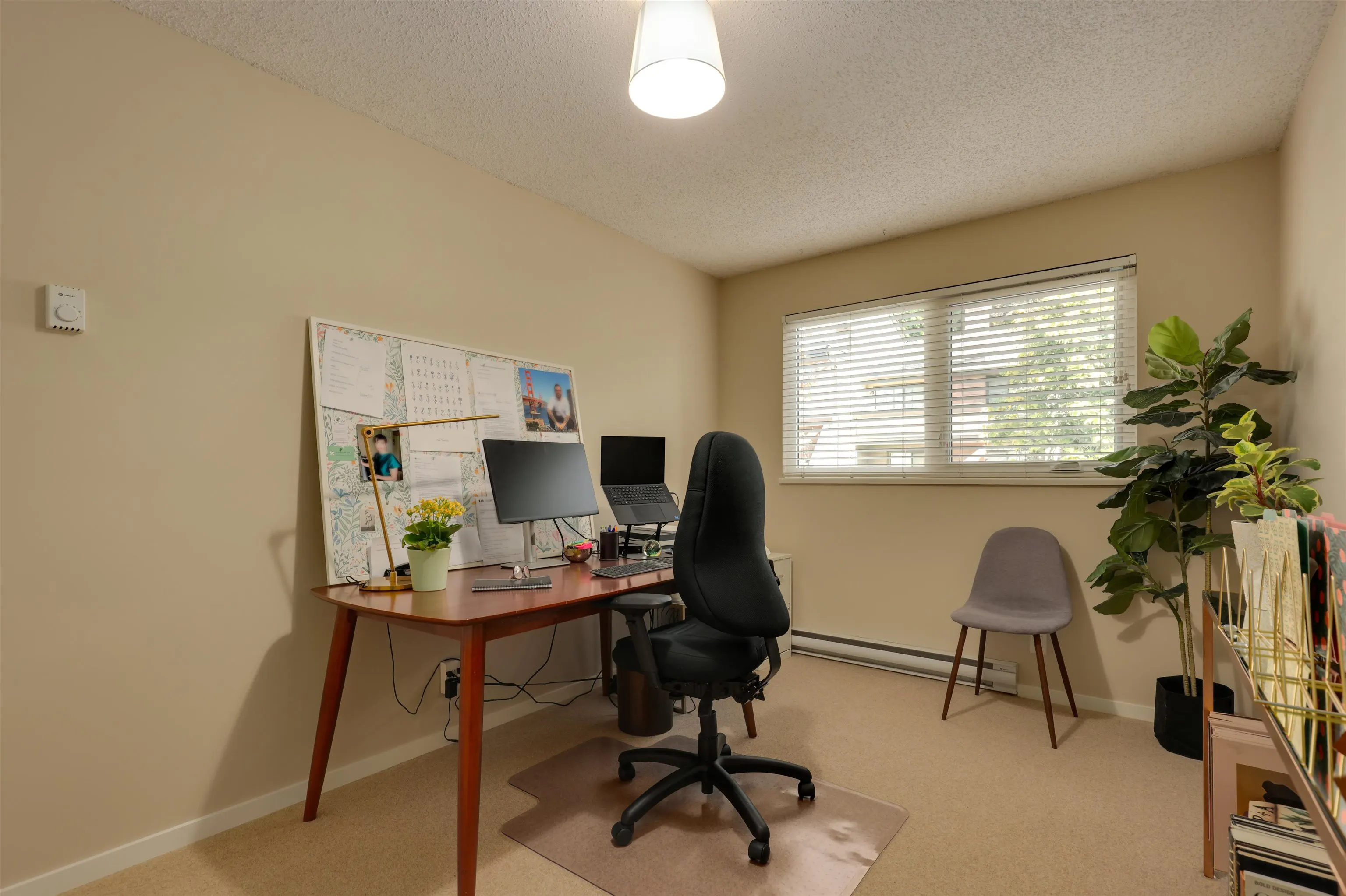 4035 Springtree Drive