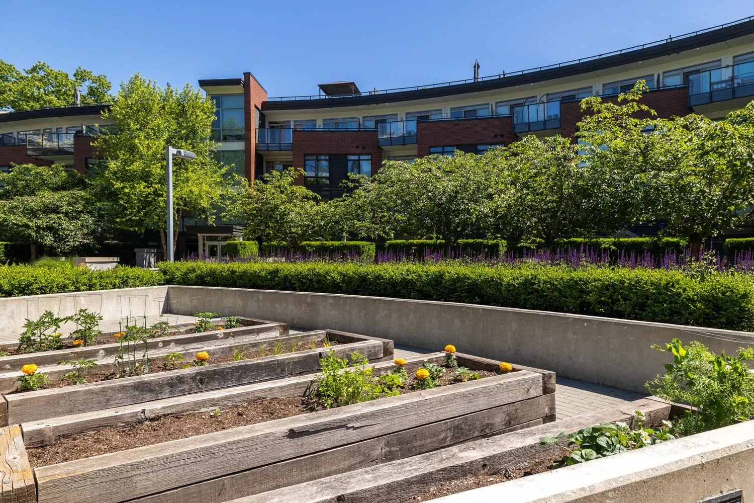 217 22 E Royal Avenue