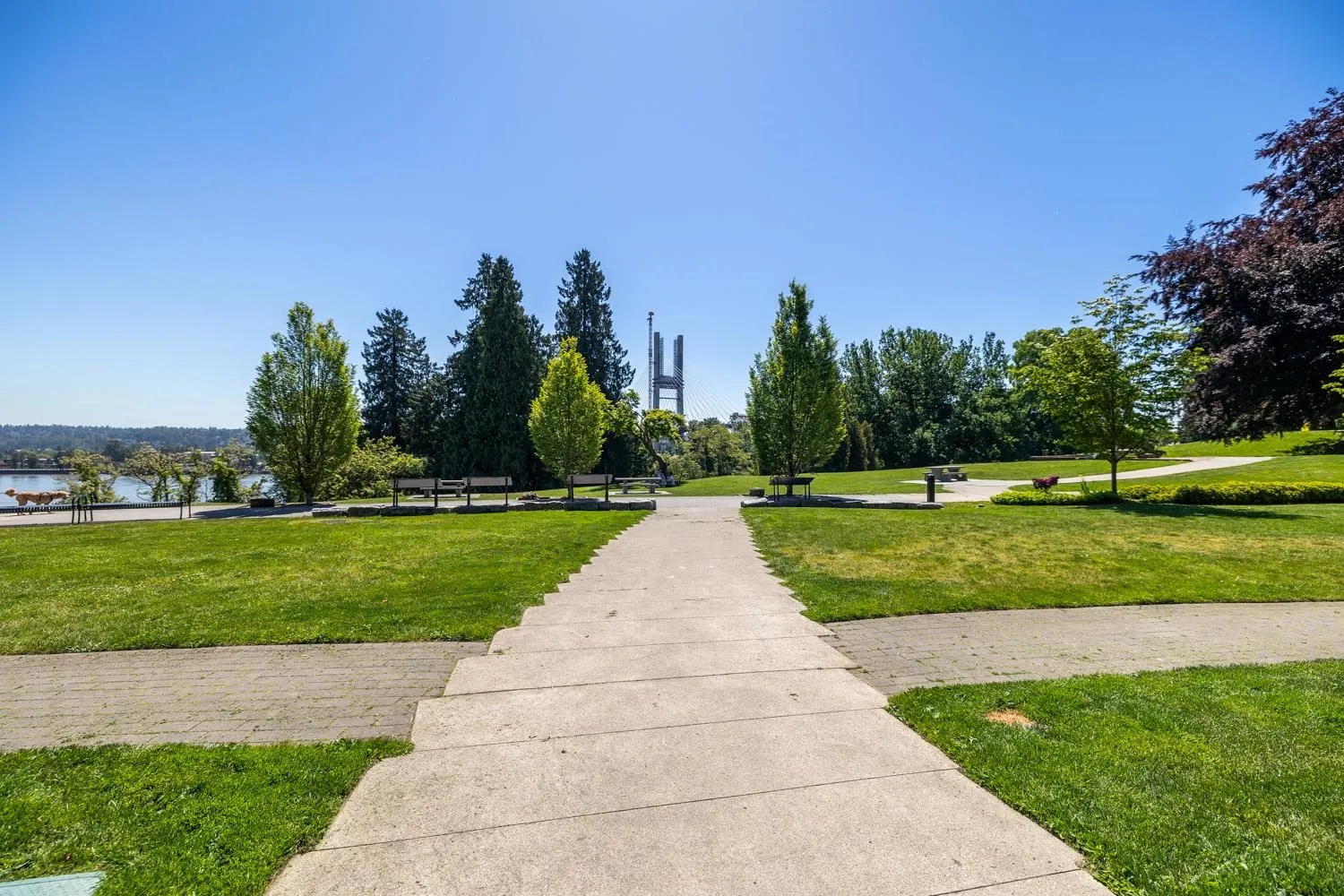 217 22 E Royal Avenue