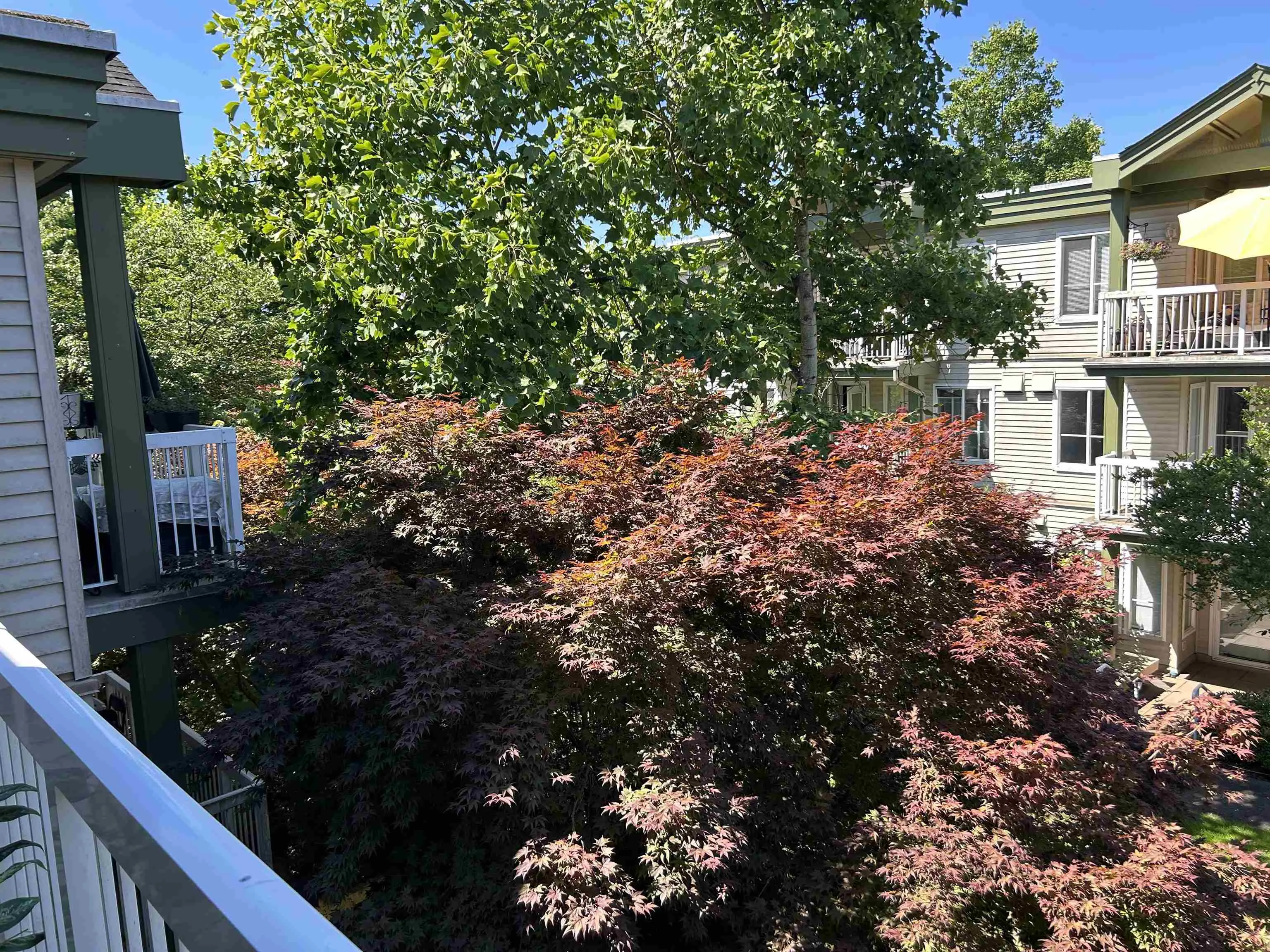 304 10665 139 Street