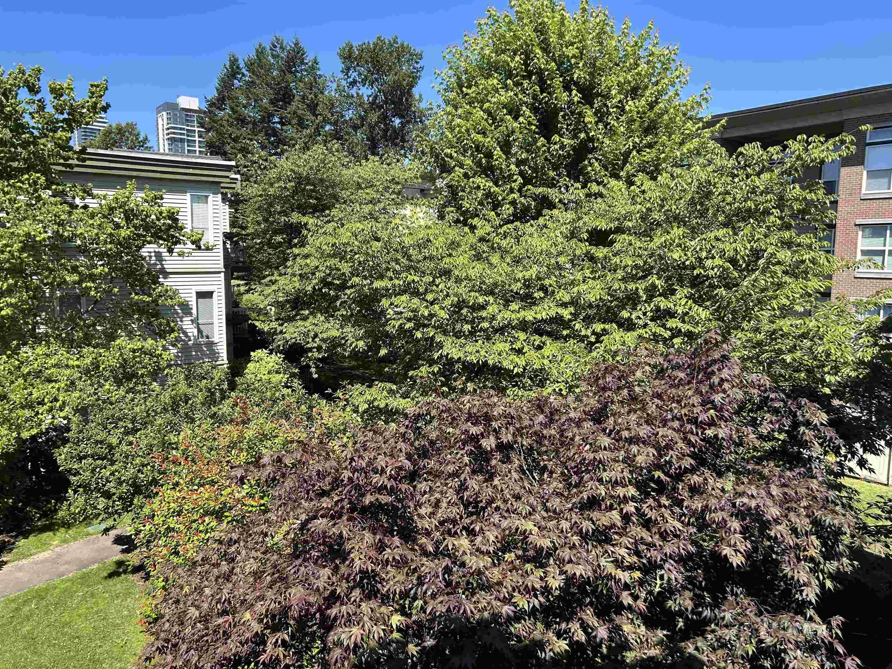 304 10665 139 Street