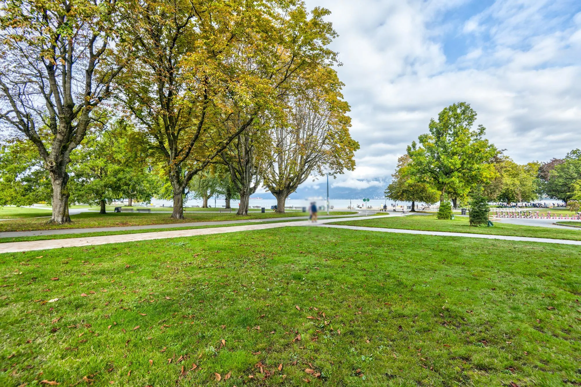 304 1665 Arbutus Street