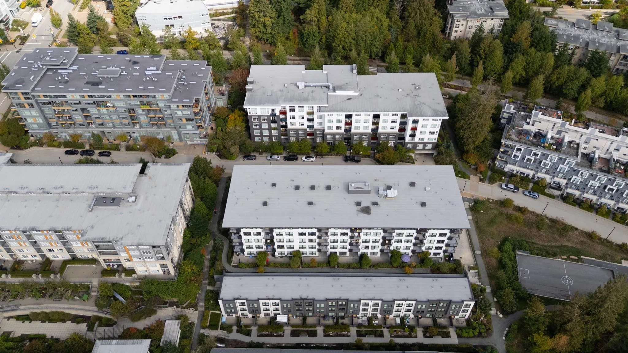 514 9228 Slopes Mews