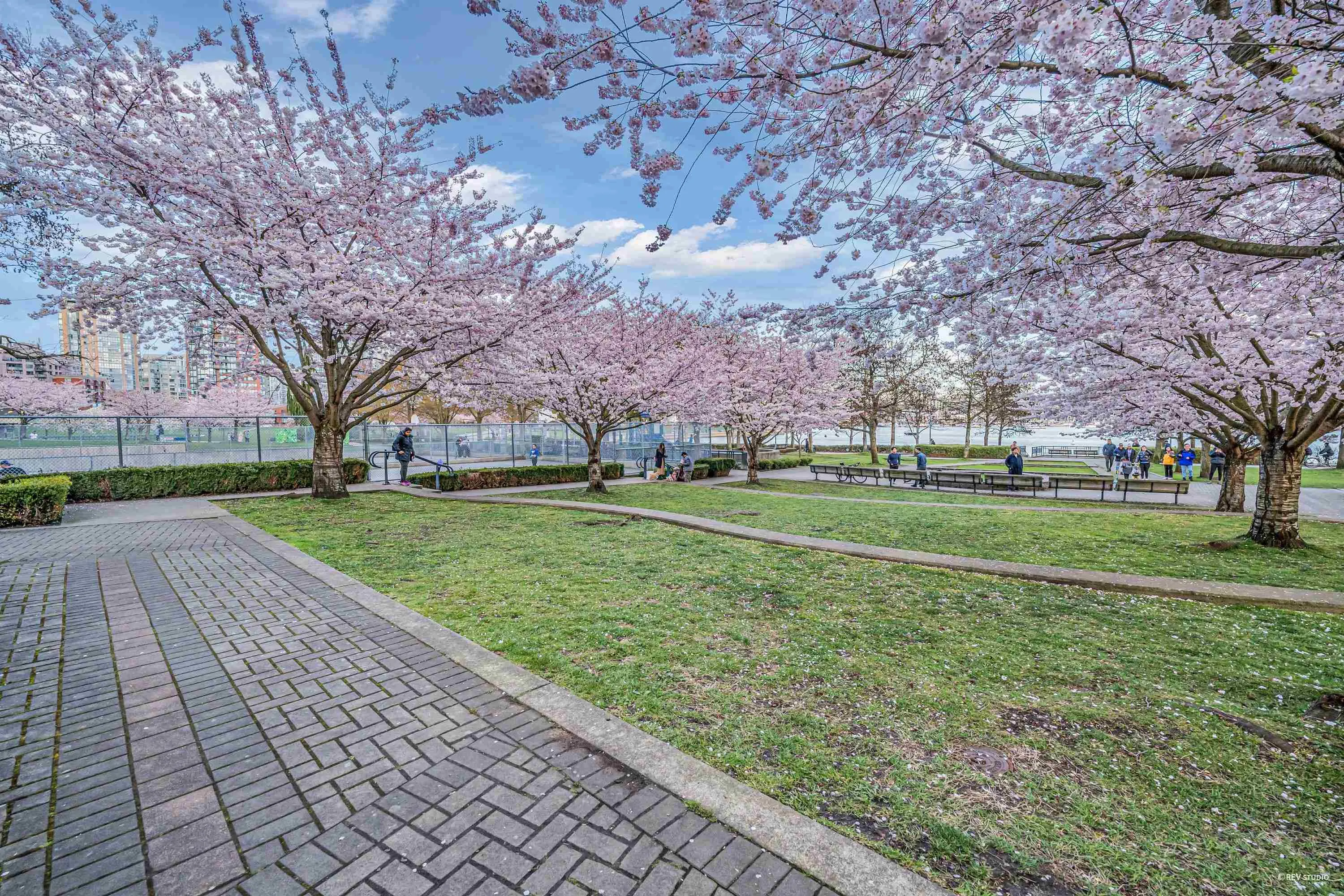 2802 1483 Homer Street