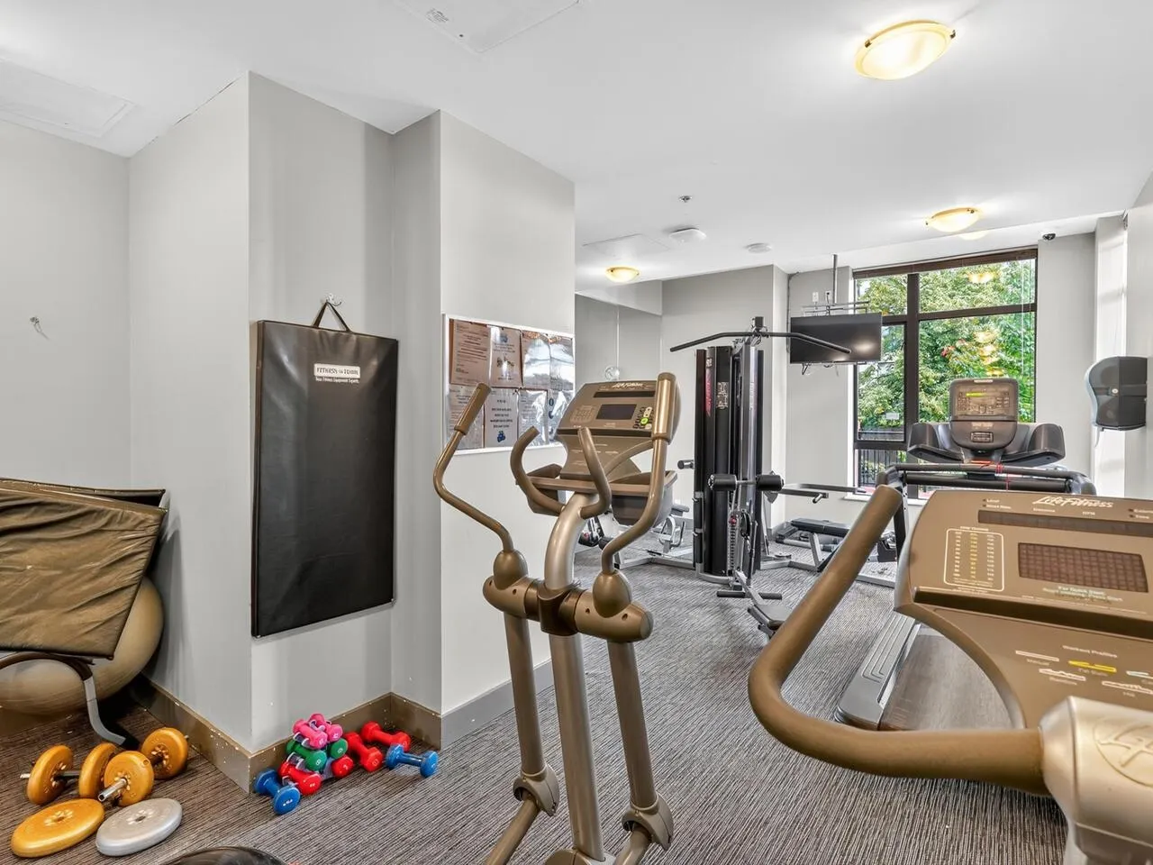 901 833 Agnes Street