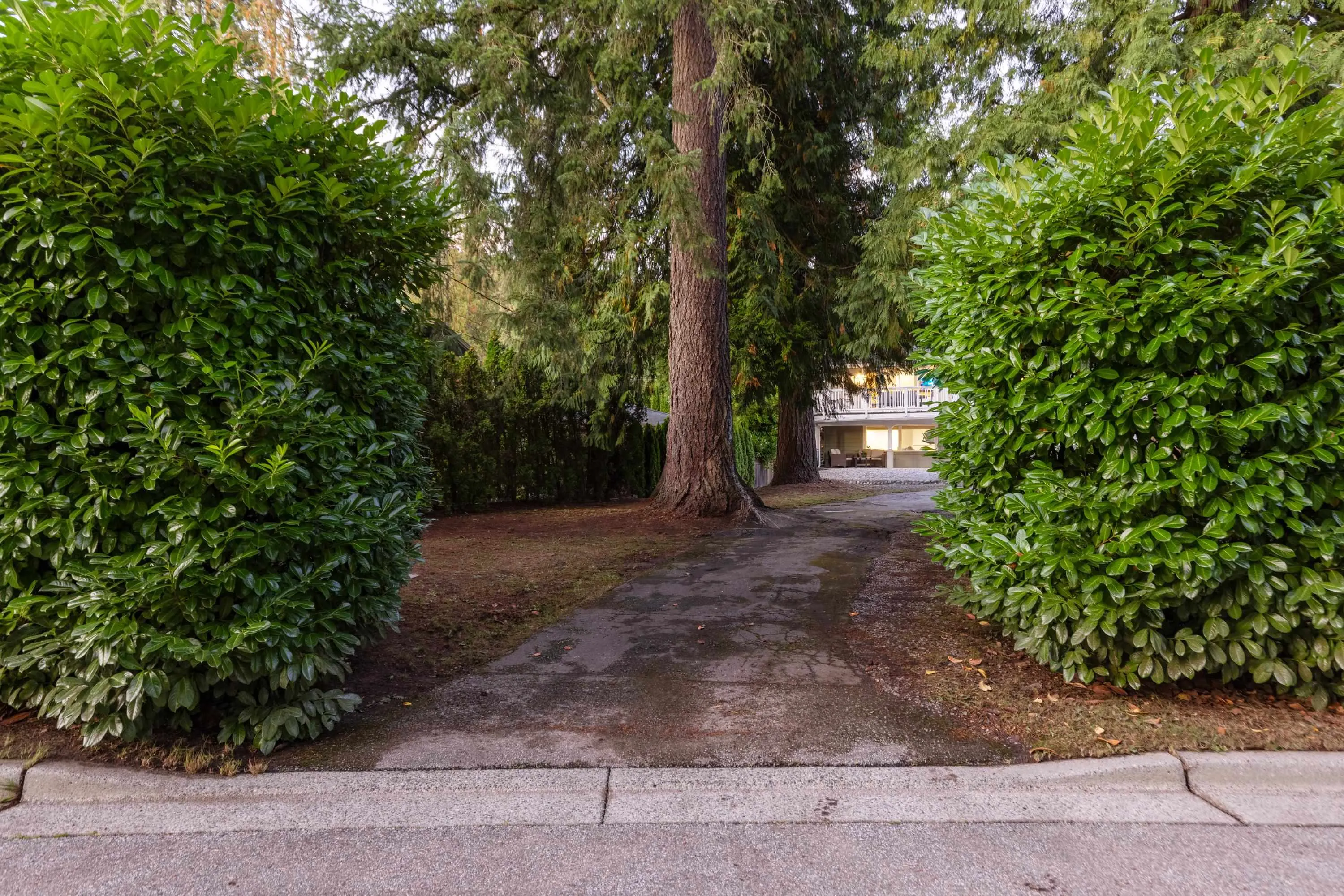 4123 Virginia Crescent