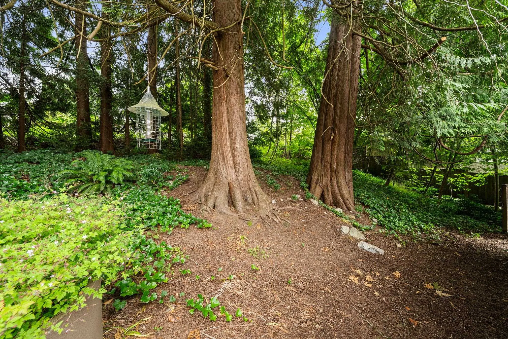 338 E Osborne Road