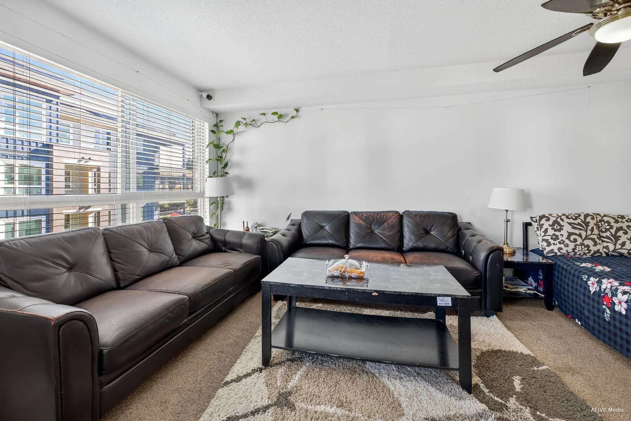 306 13780 76 Avenue