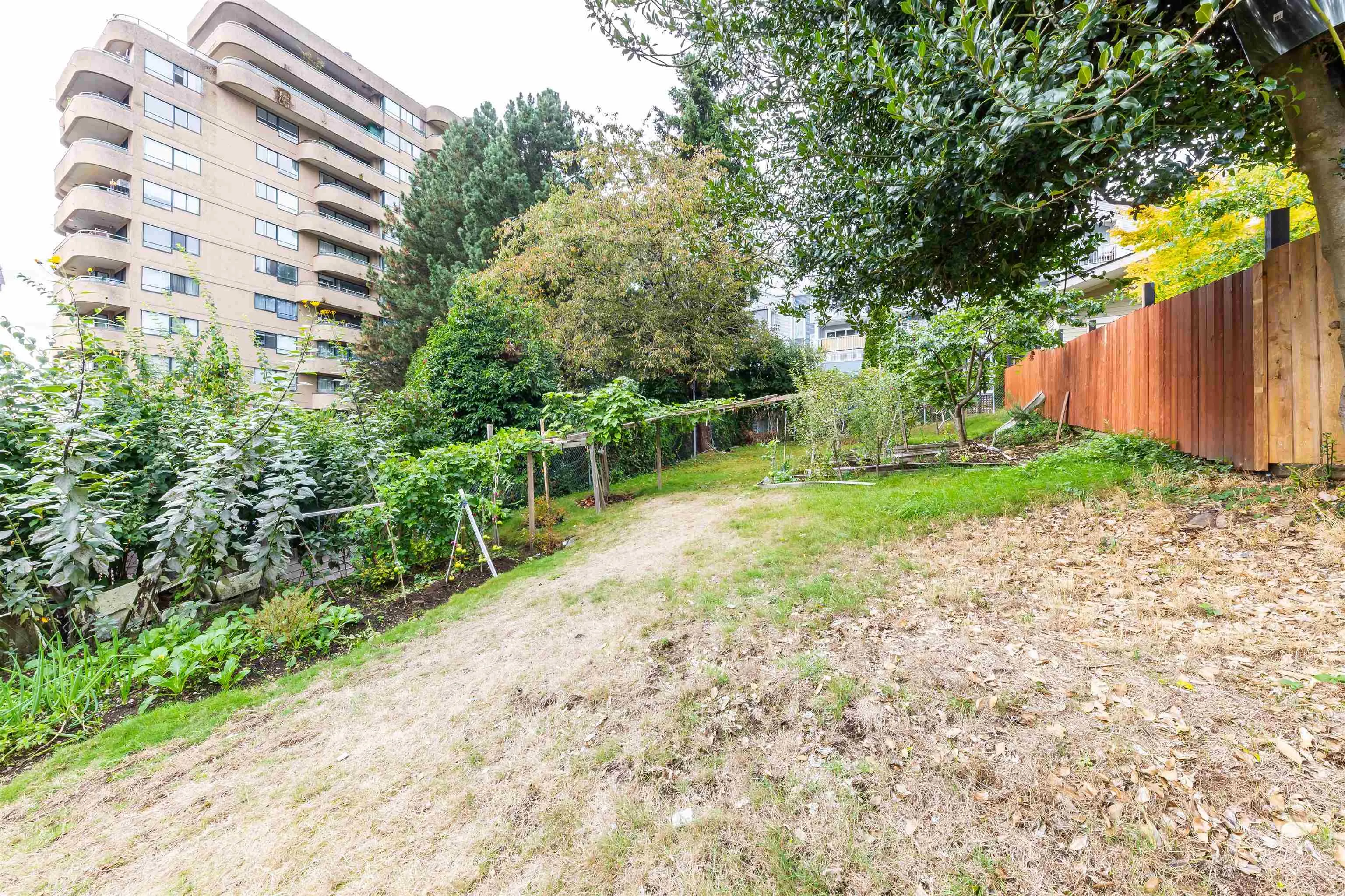 1011 Auckland Street