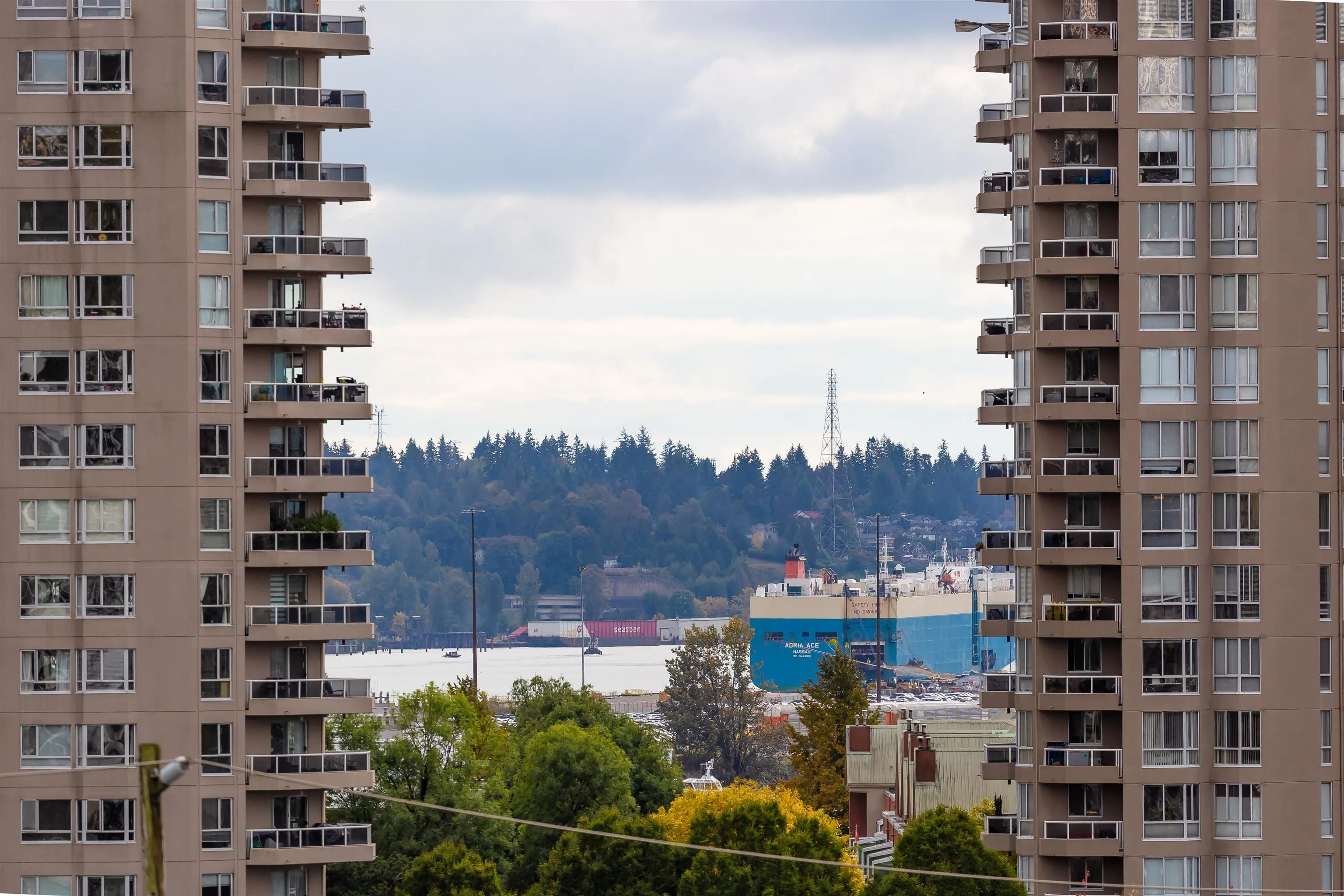 1011 Auckland Street