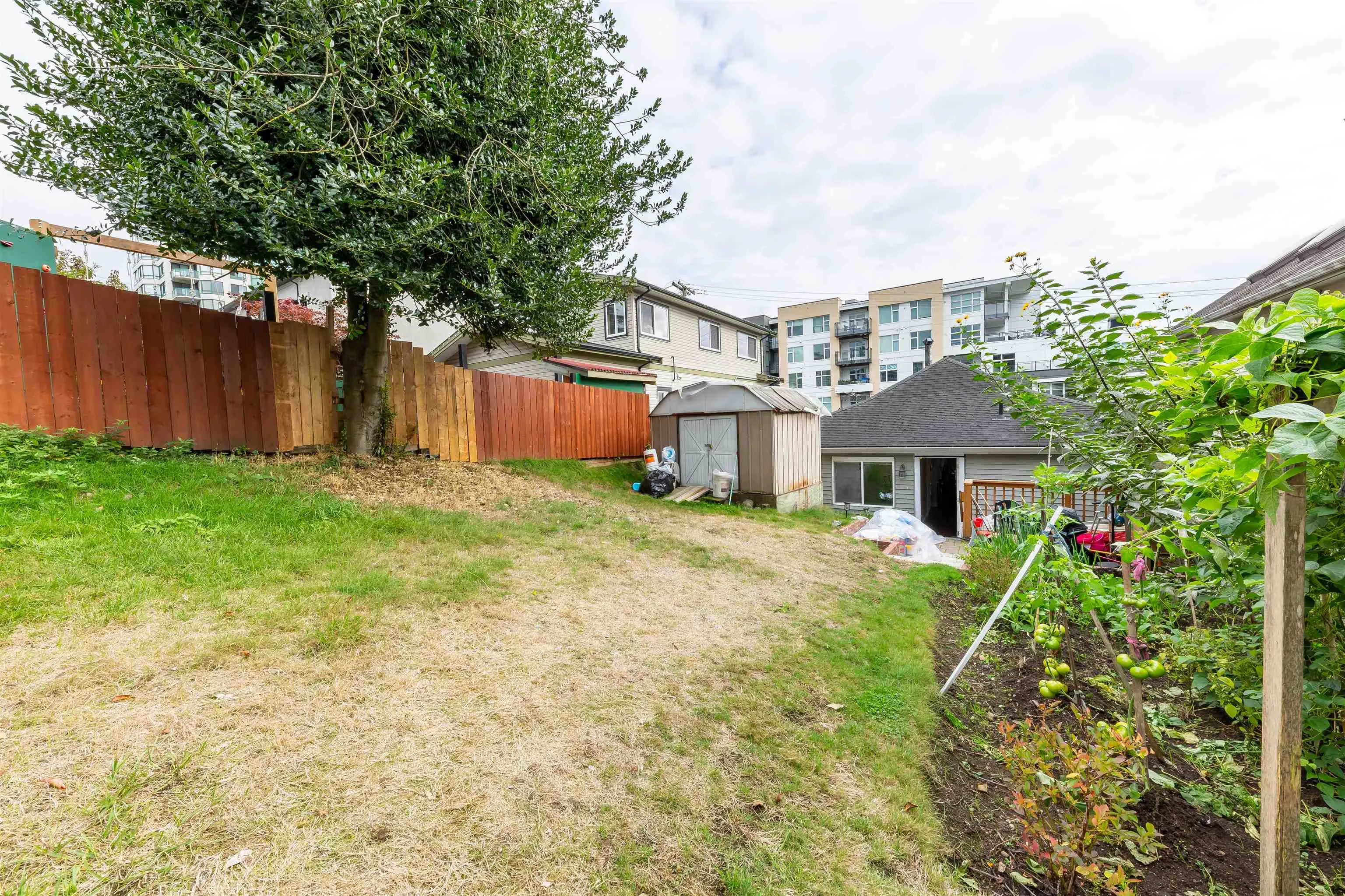 1011 Auckland Street