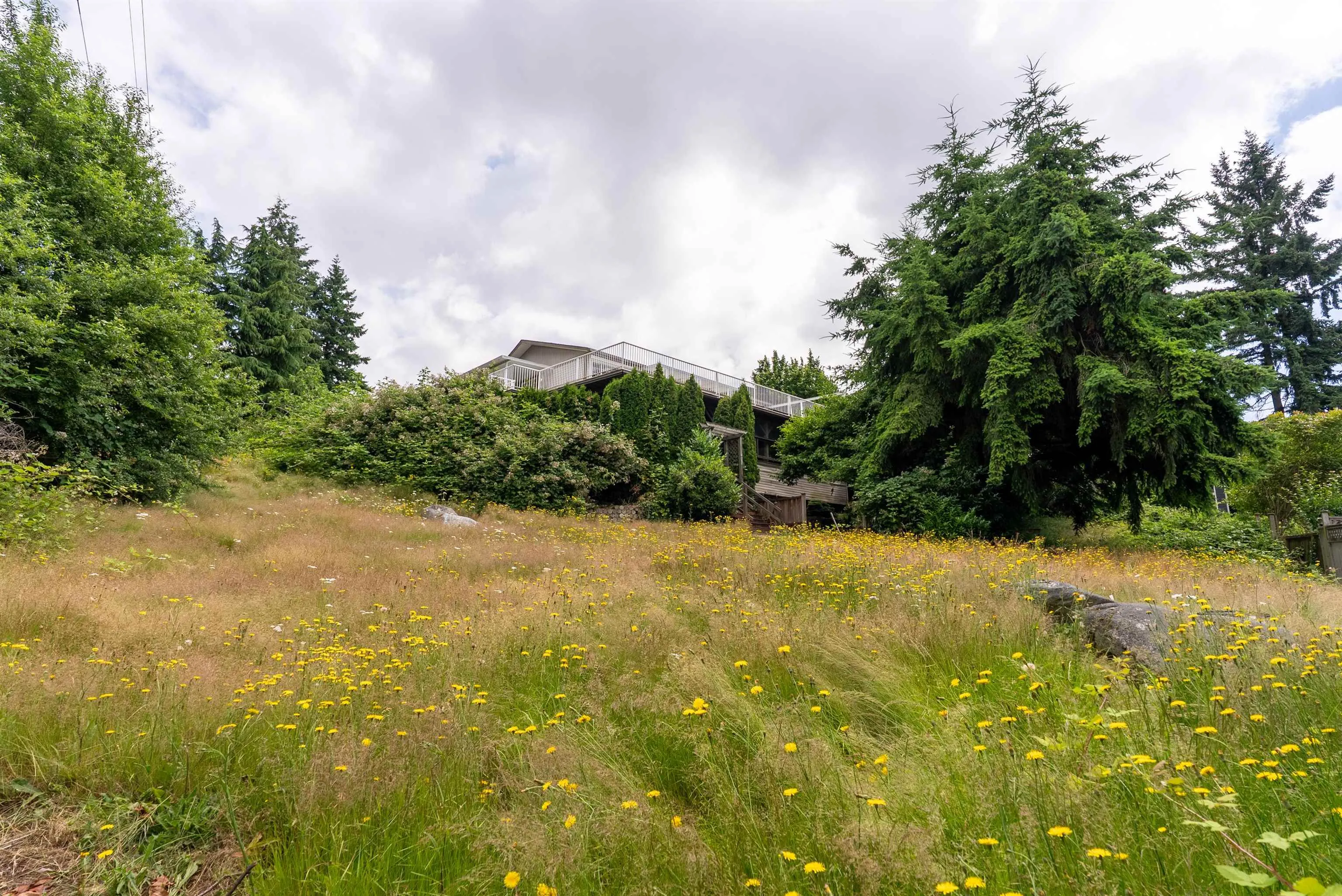 8063 Wiltshire Boulevard