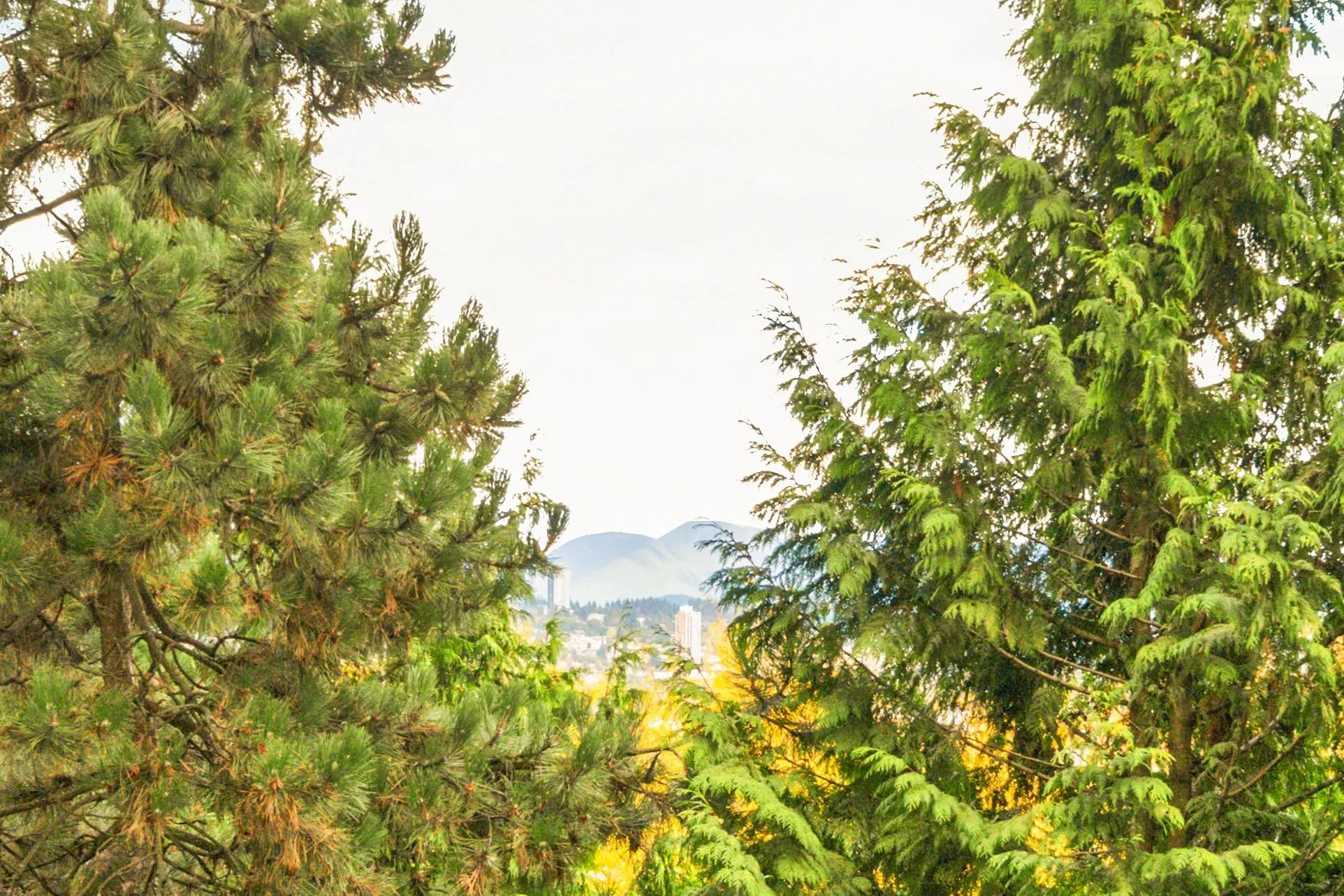 404 71 Jamieson Court