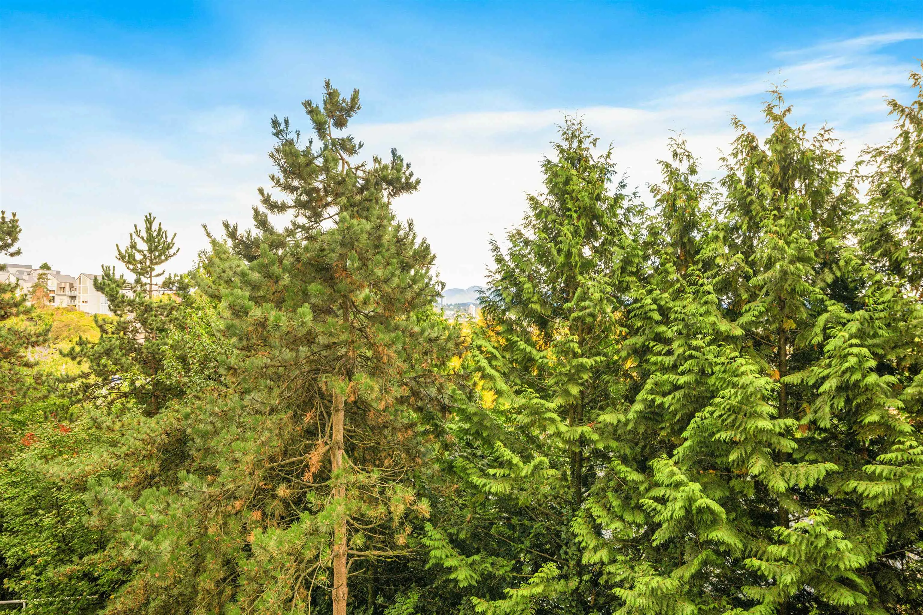 404 71 Jamieson Court