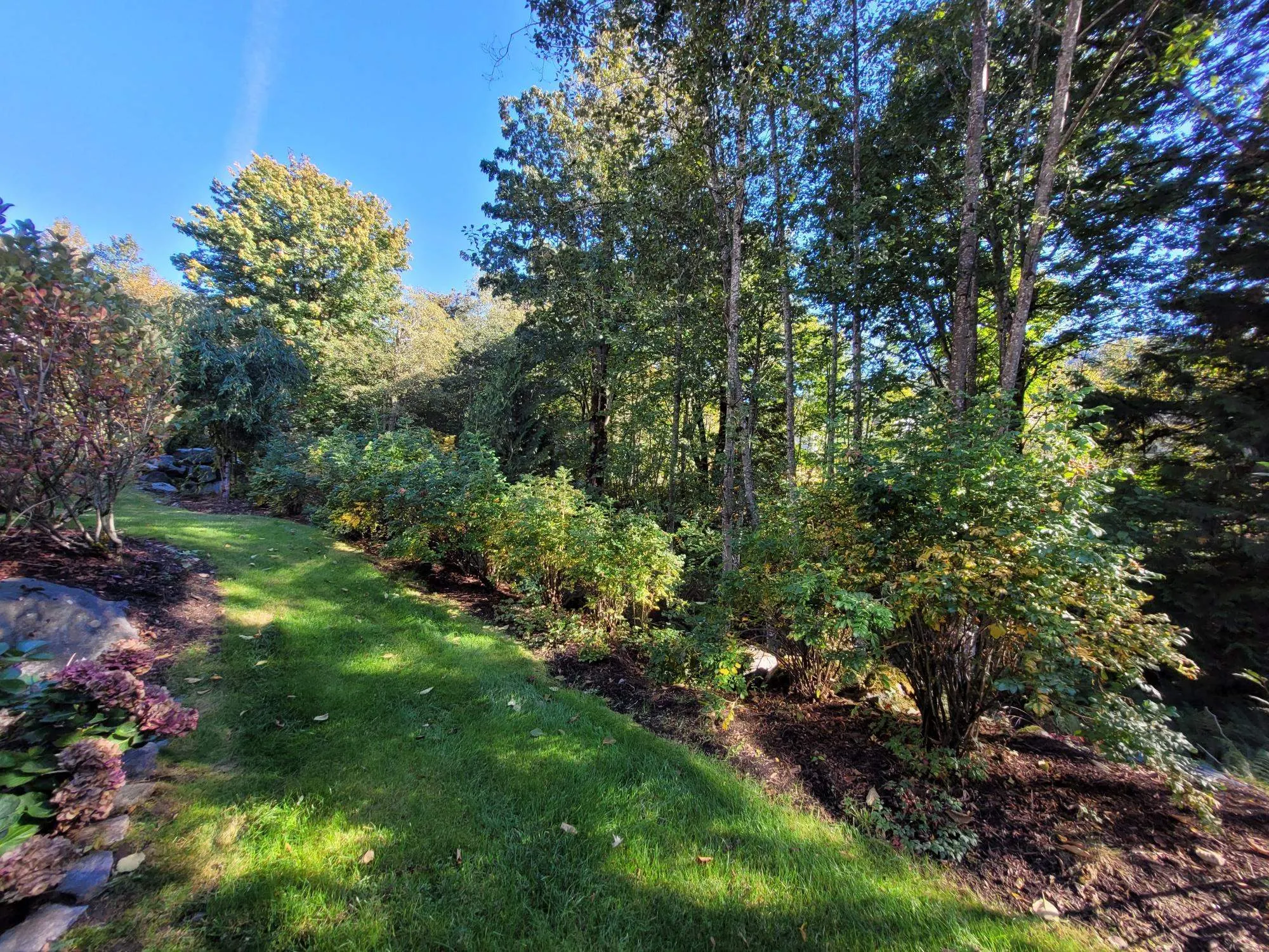 61 36260 Mckee Road