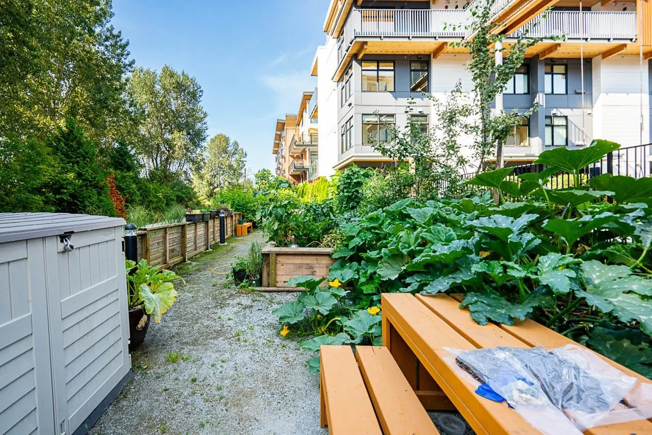 202 310 Salter Street