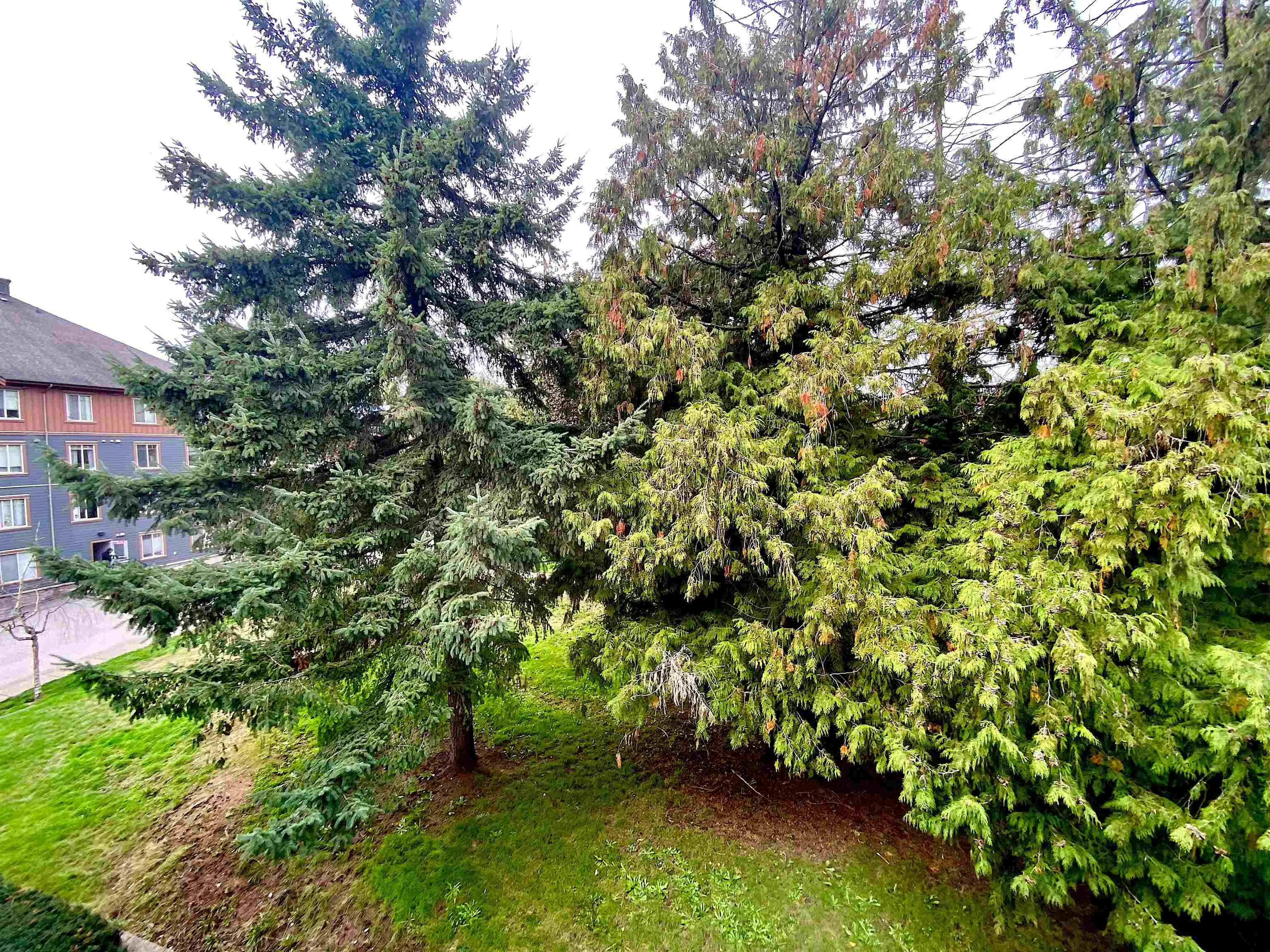 3406 240 Sherbrooke Street