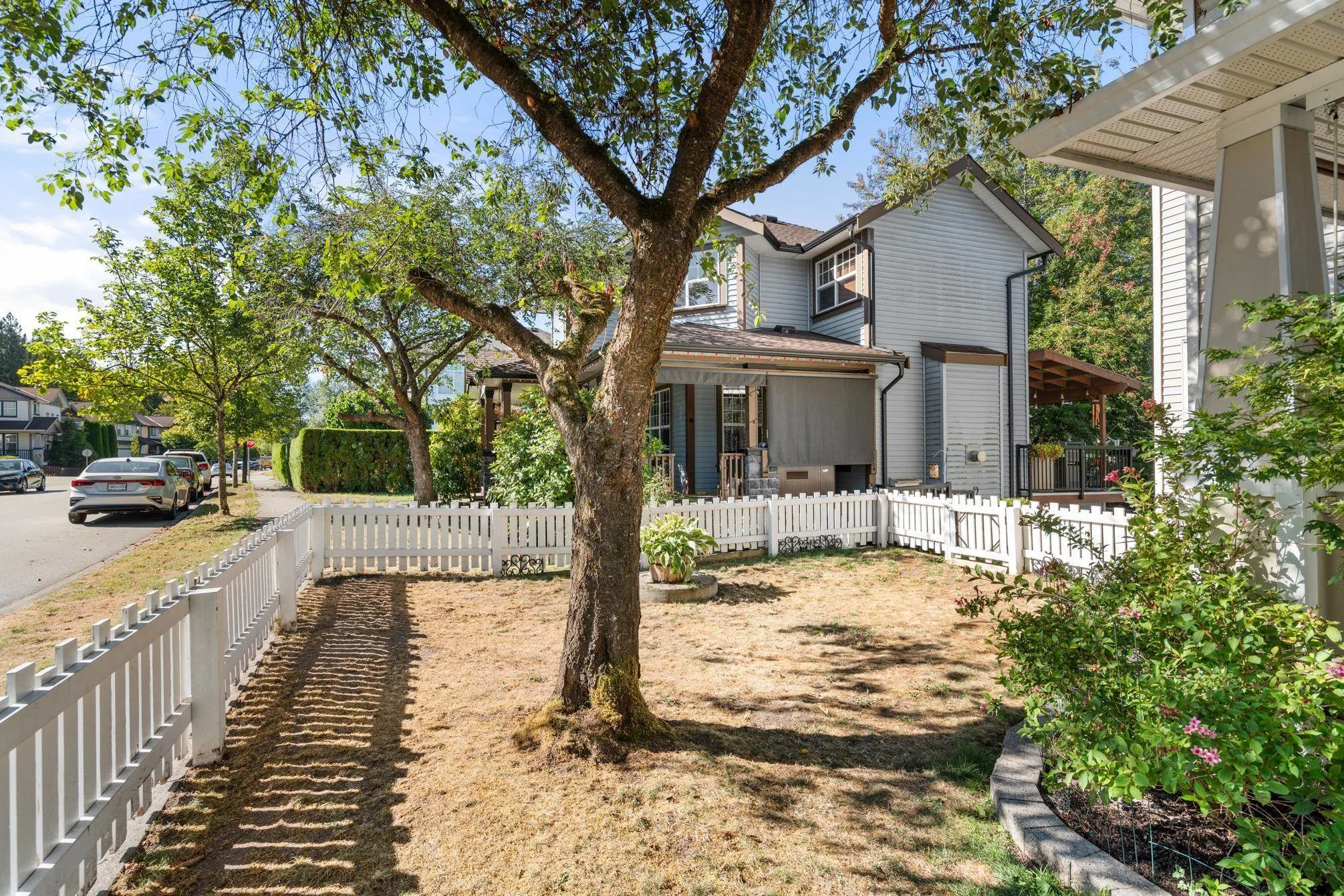 10071 246 A Street