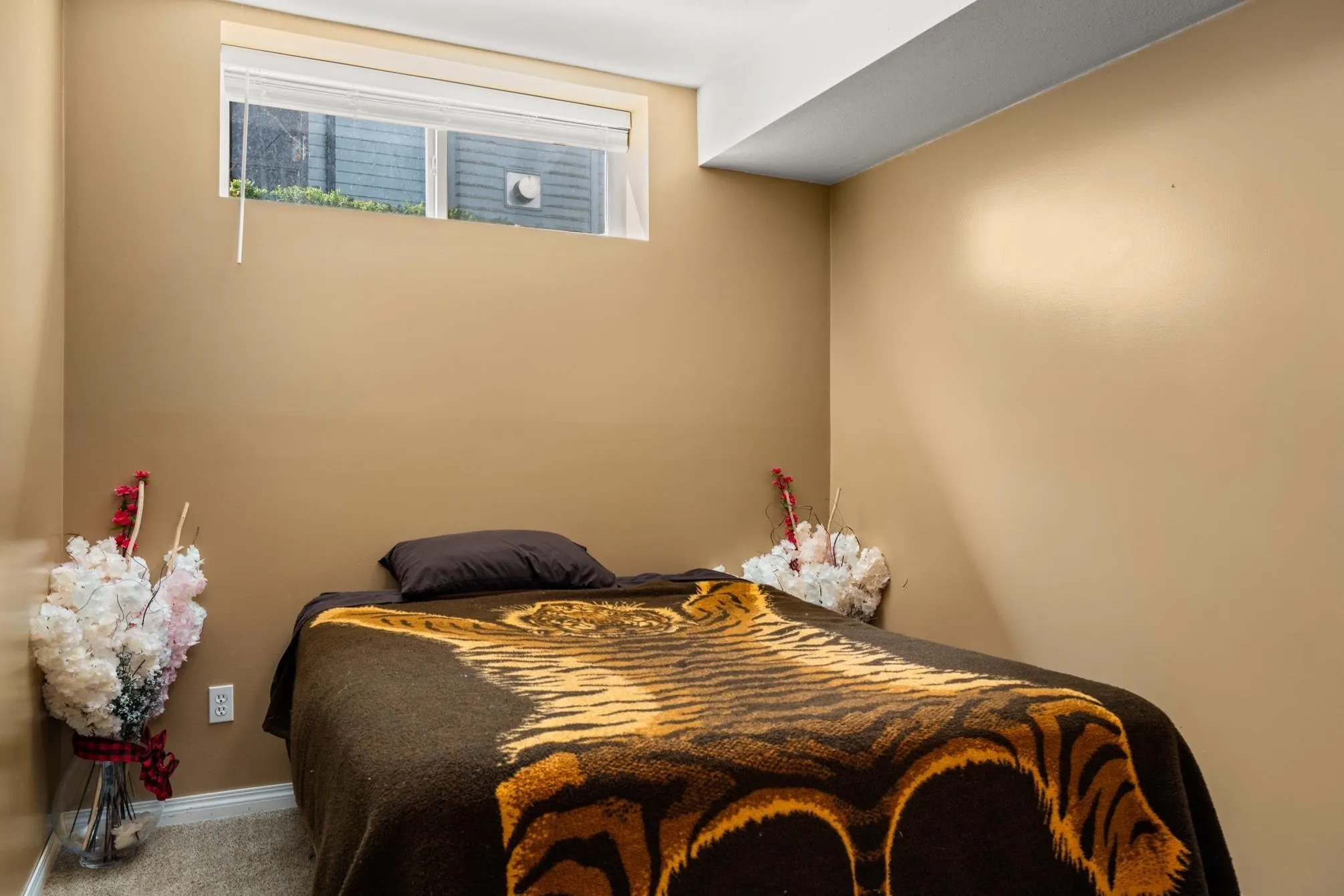 10071 246 A Street