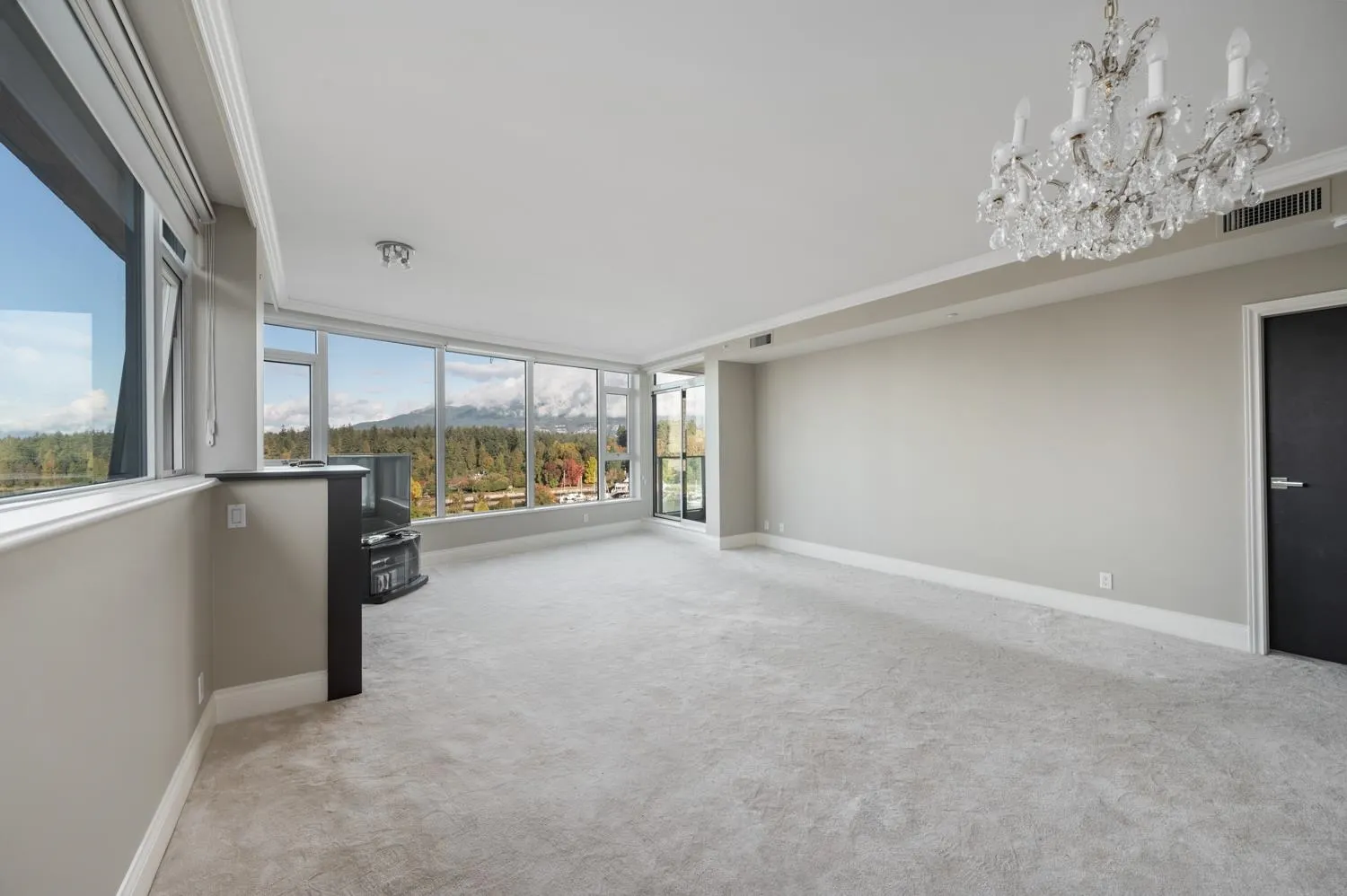 100X 1777 Bayshore Drive