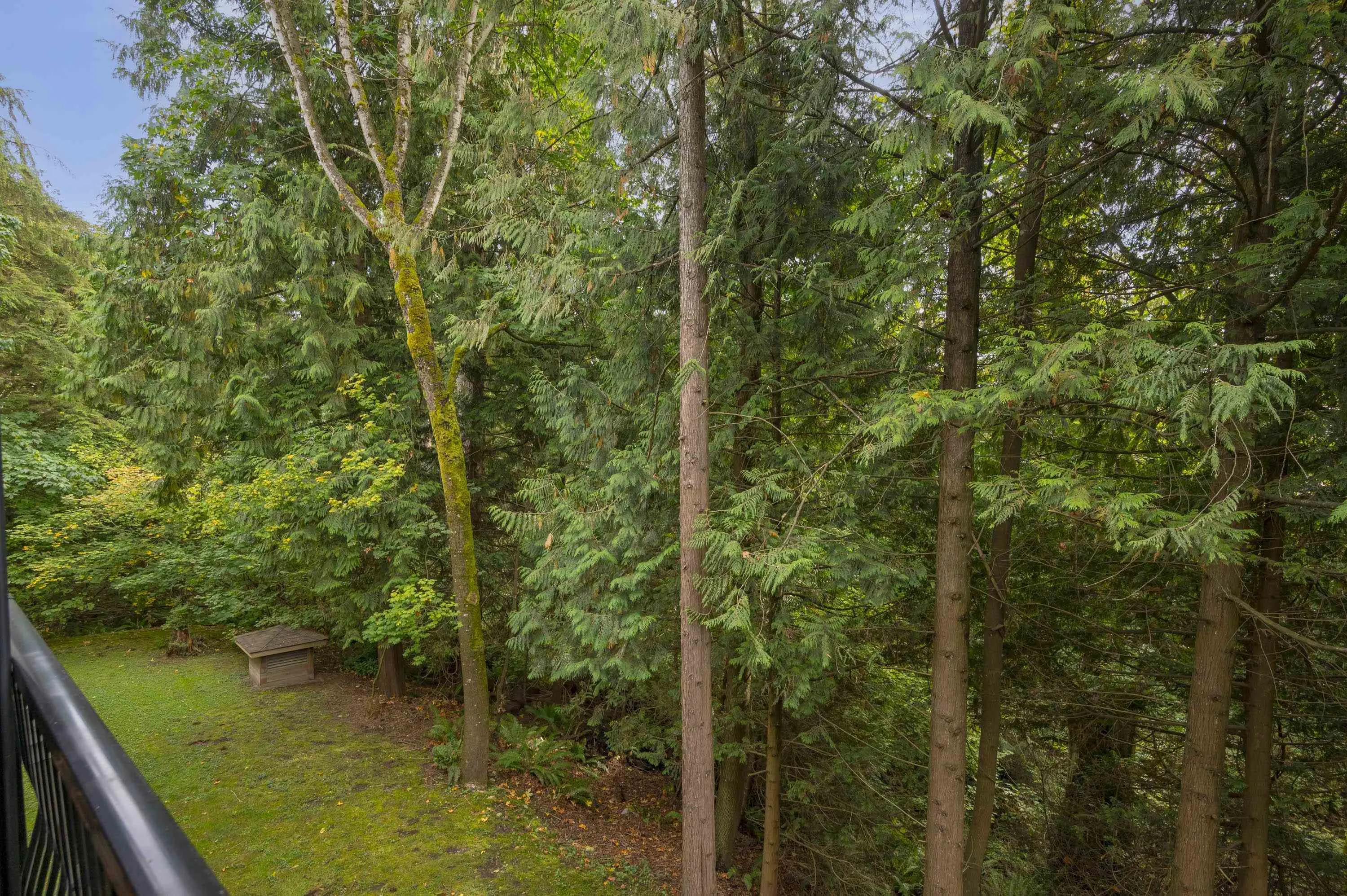 208 10320 156 Street