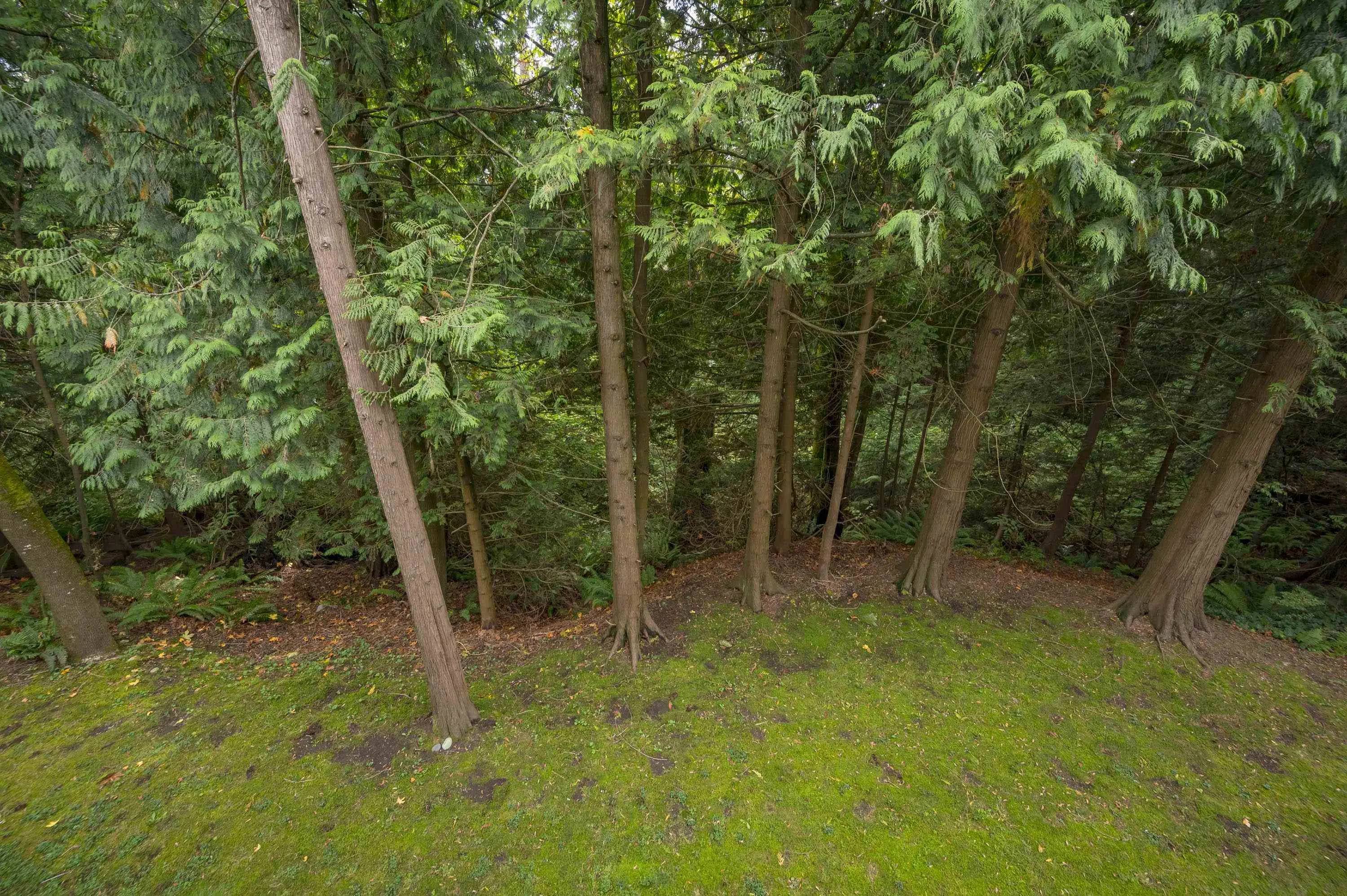 208 10320 156 Street