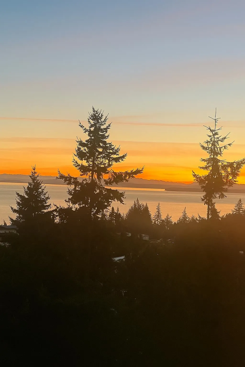 1203 15152 Russell Avenue