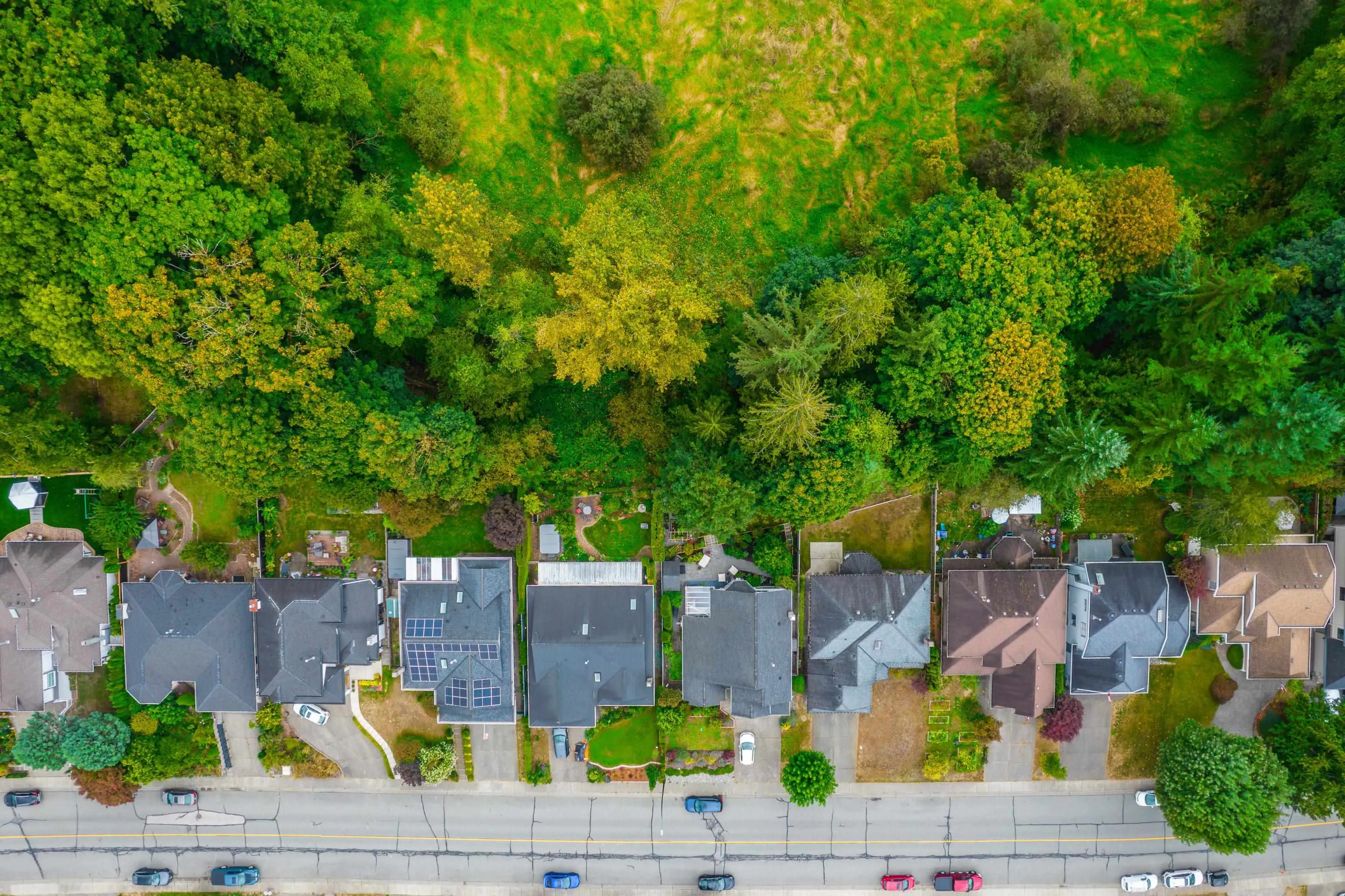 23508 Tamarack Lane