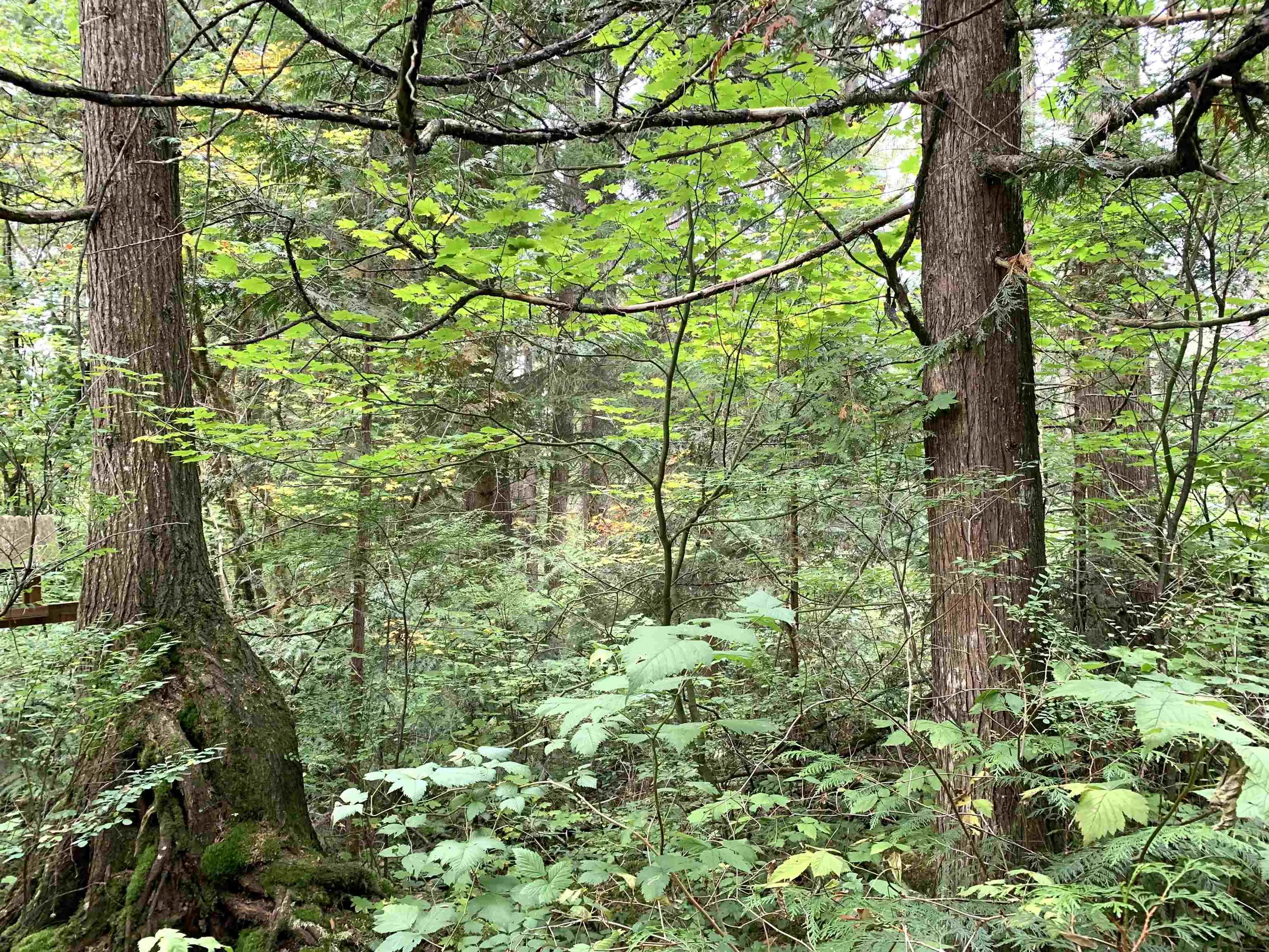 29933 Anderson Avenue