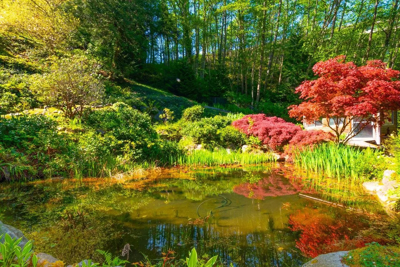 4228 Rockridge Crescent