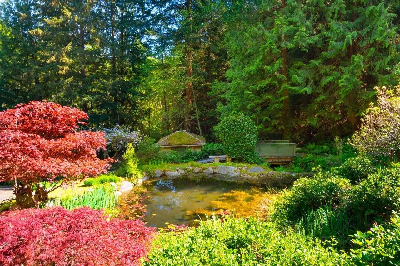 4228 Rockridge Crescent