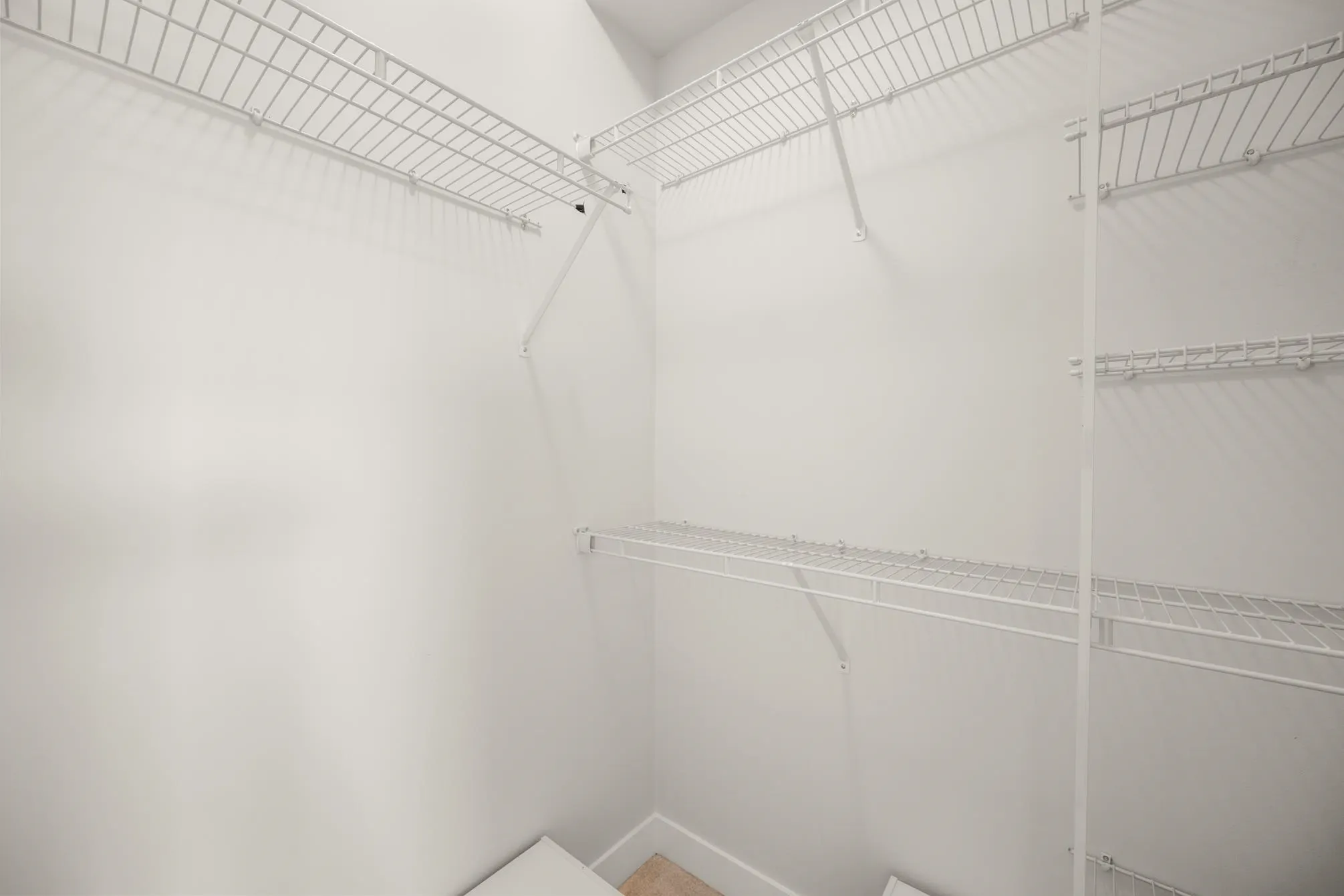 318 20219 54a Avenue