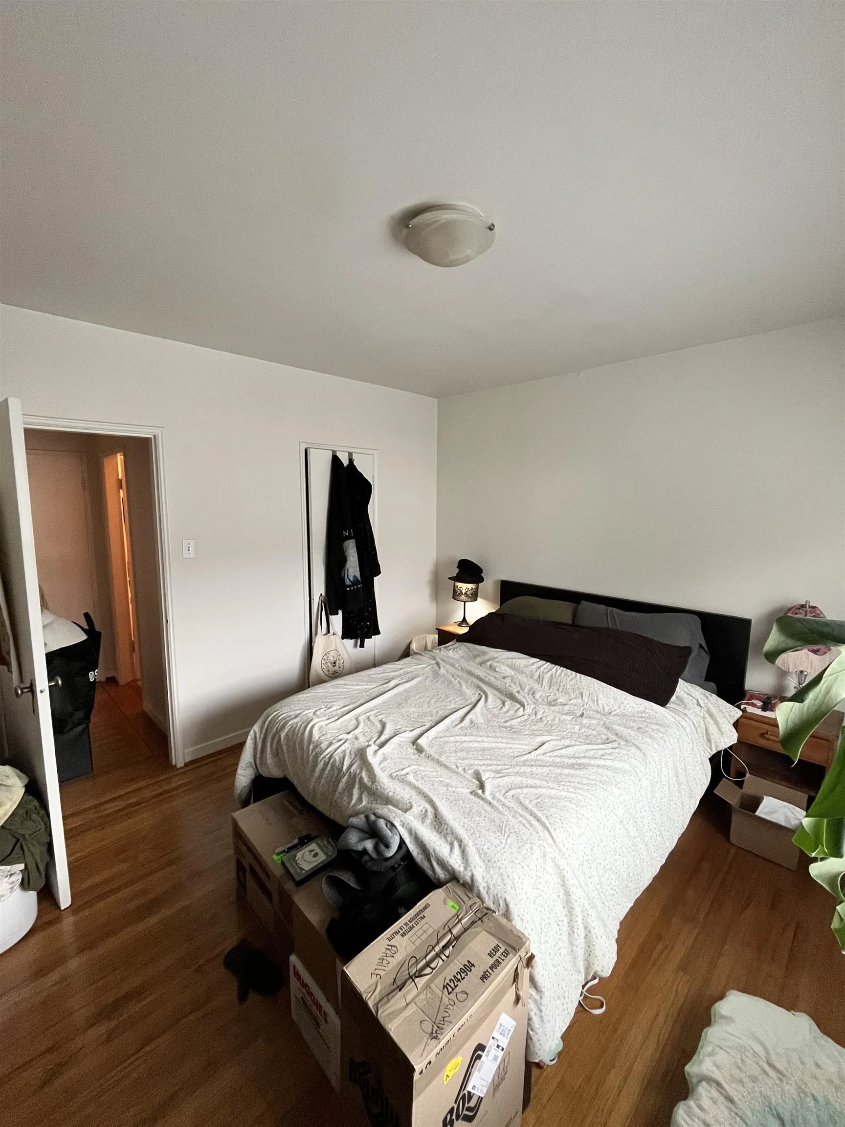 207 735 Royal Avenue