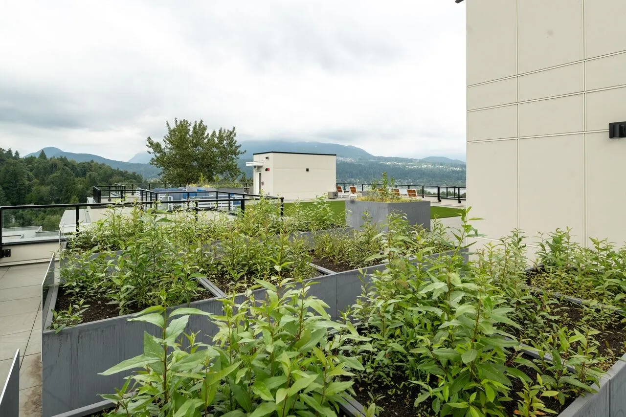 301 2002 St. George Street