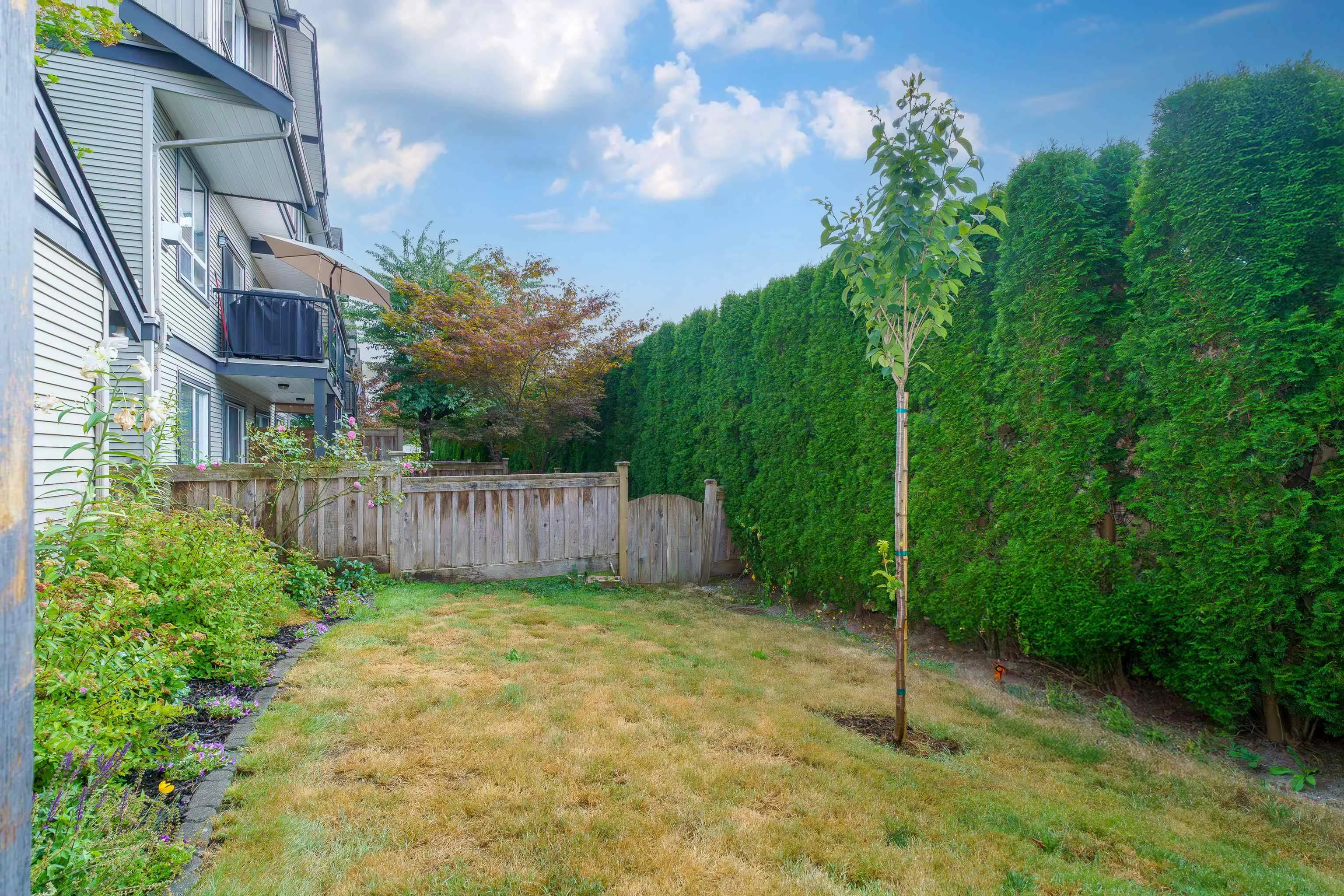 24 3127 Skeena Street