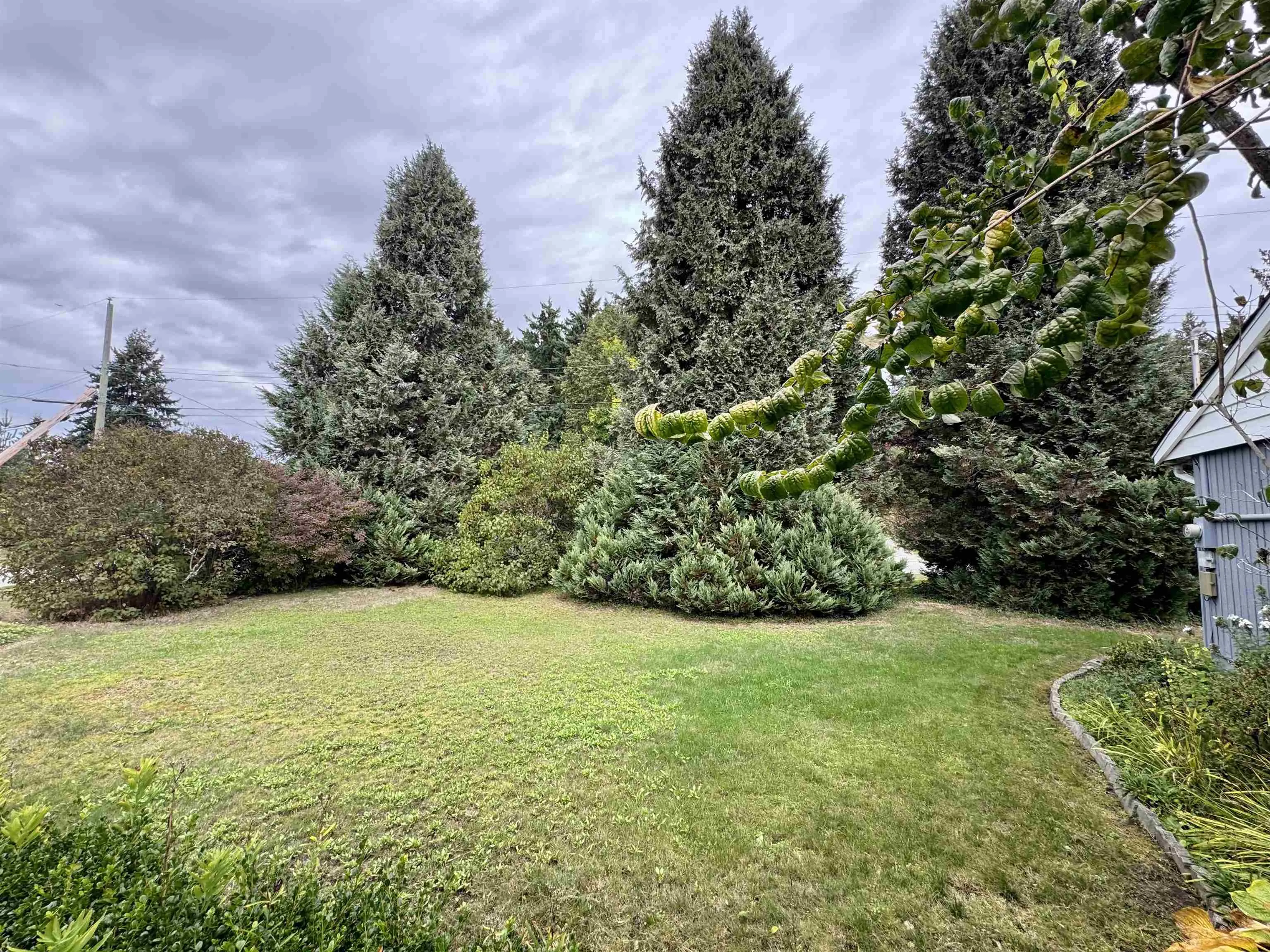 4657 Whitaker Road