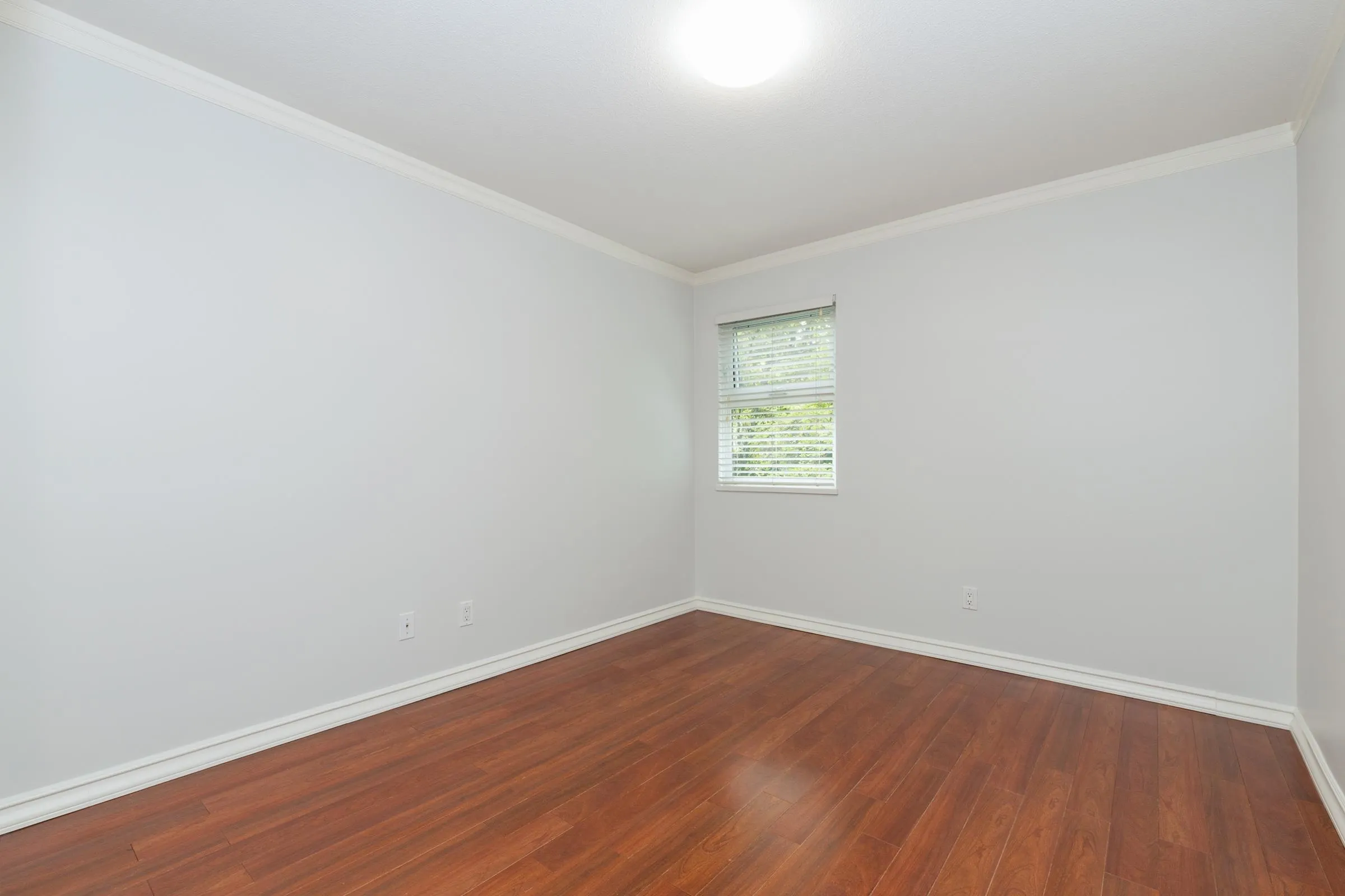 306 1023 Wolfe Avenue