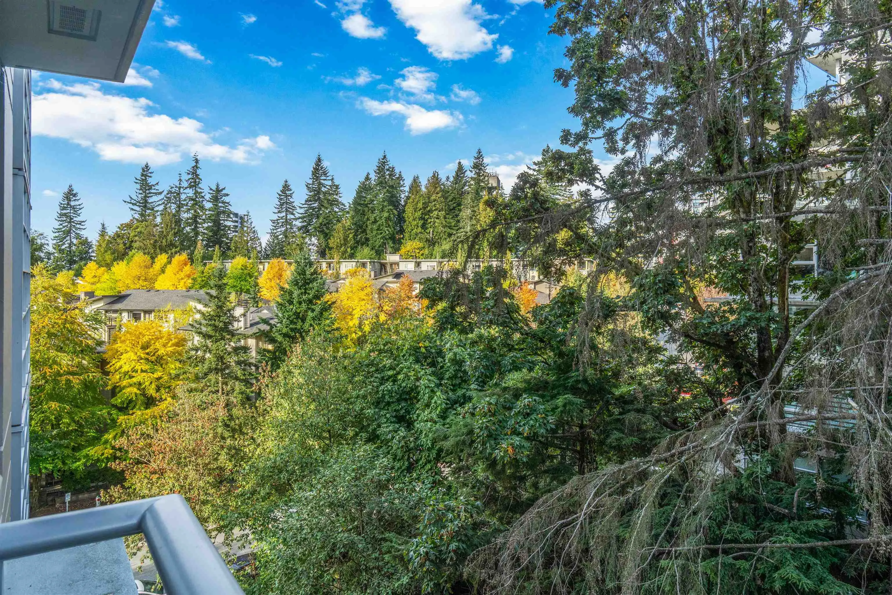 805 9266 University Crescent