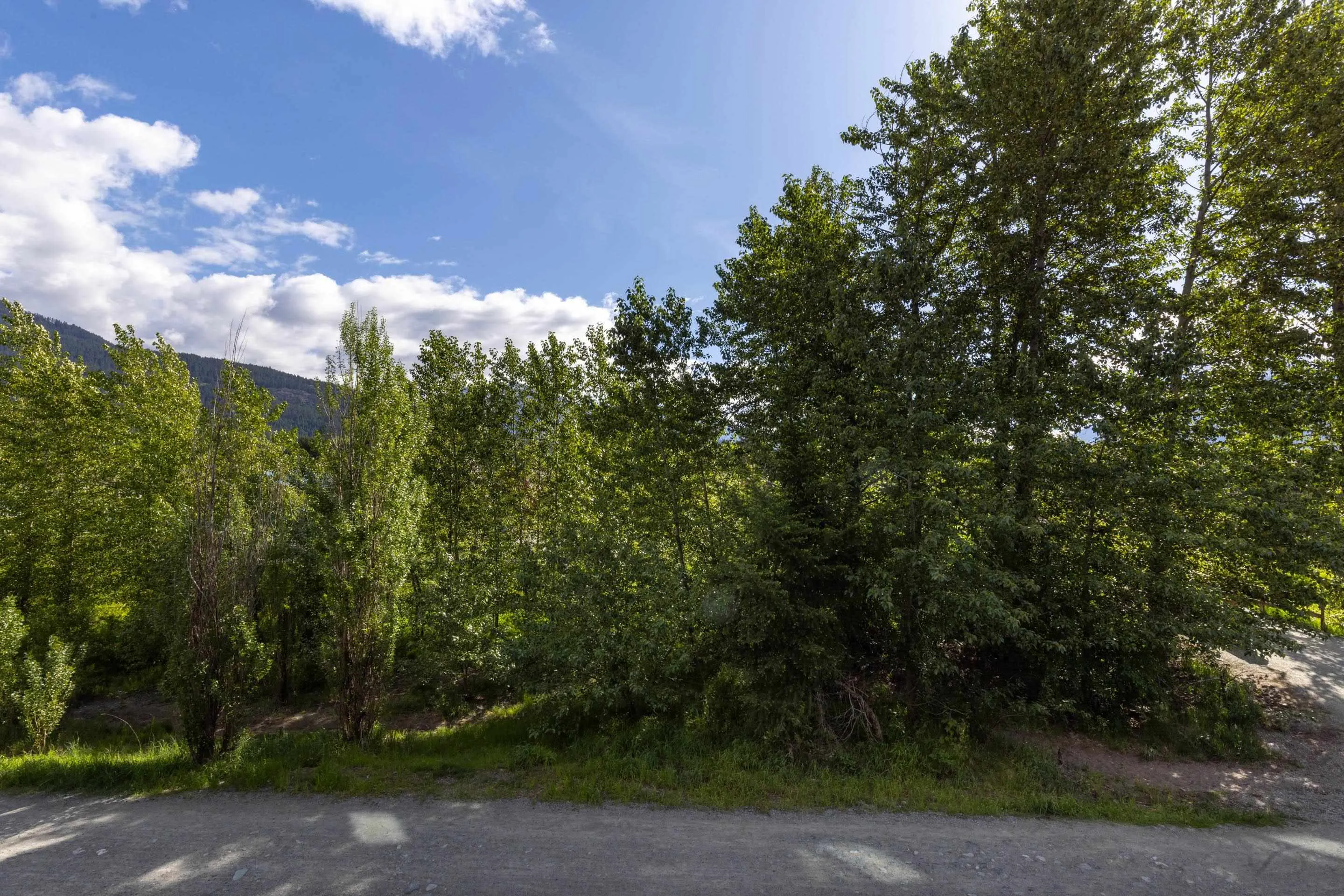 110 7350 Crabapple Court