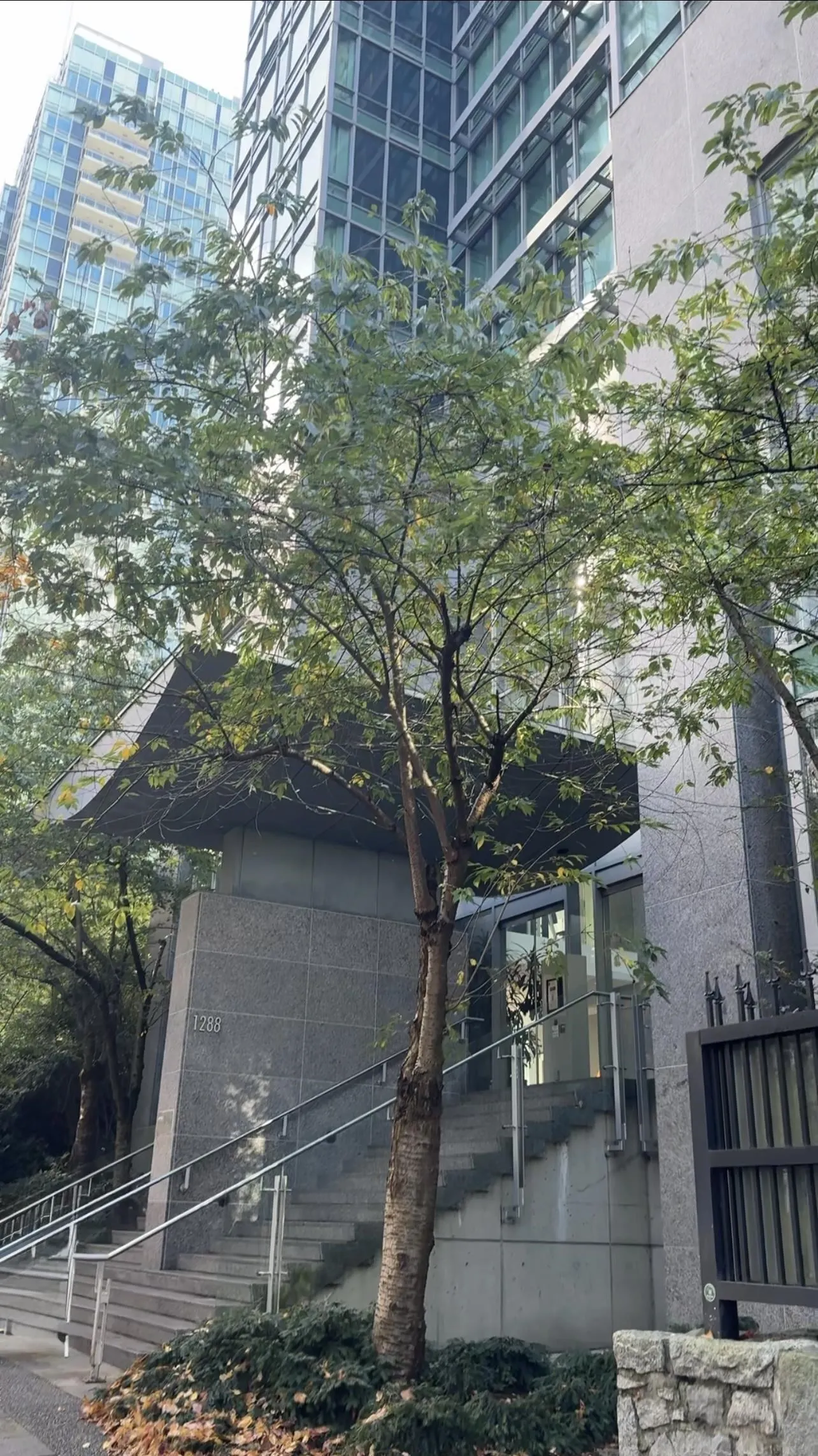 1501 1288 W Georgia Street