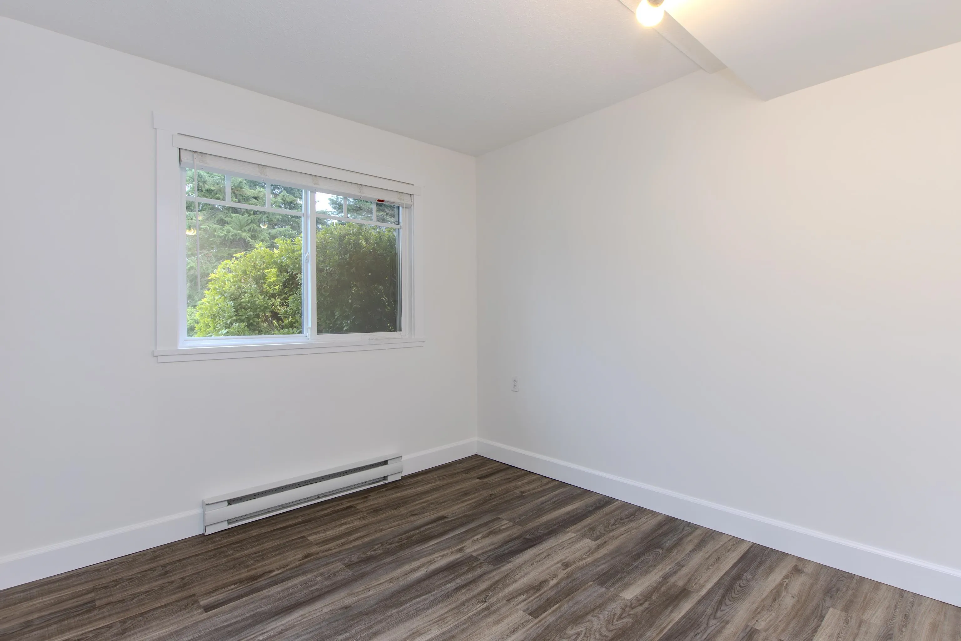 40809 Mountain Place