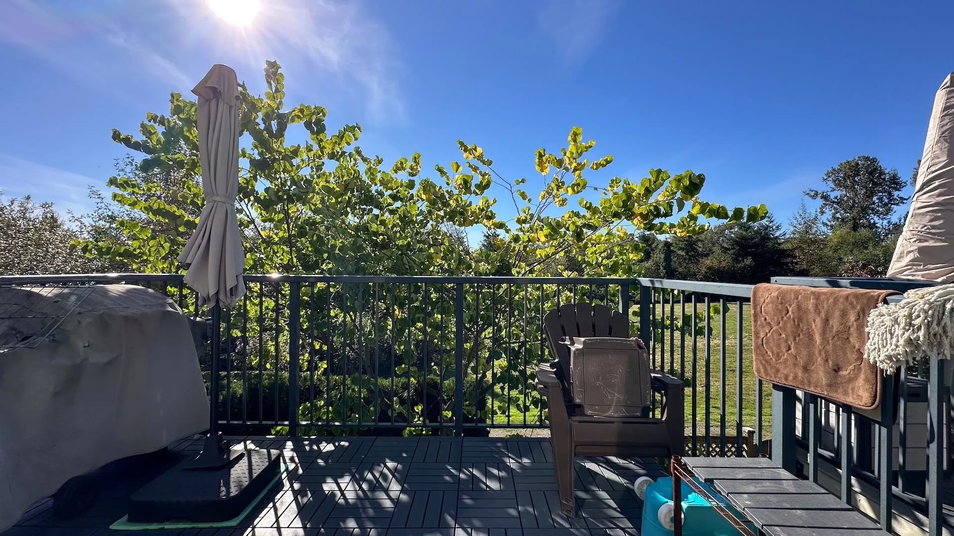 1101 8485 New Haven Close