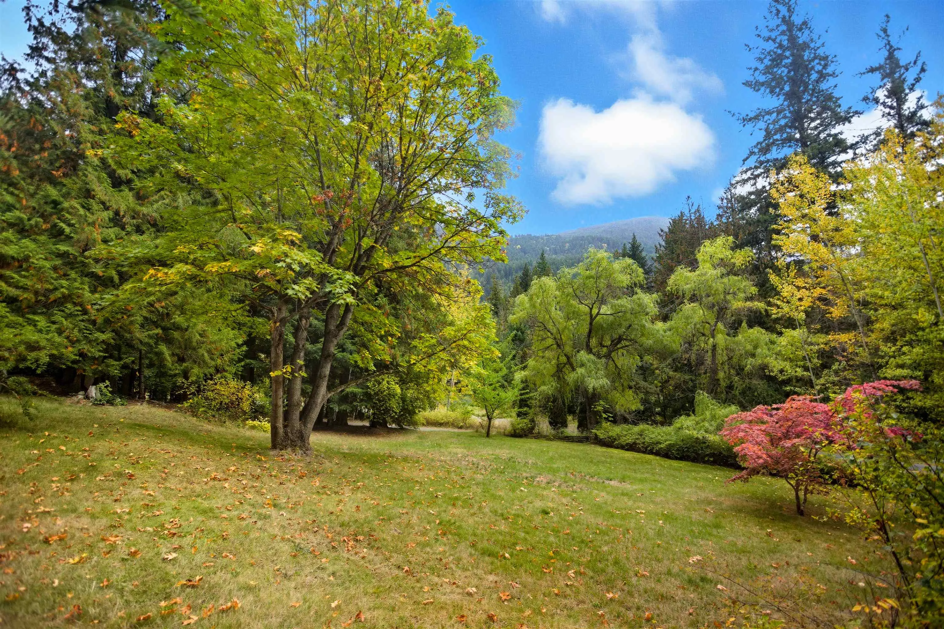 9257 Pemberton Portage Road