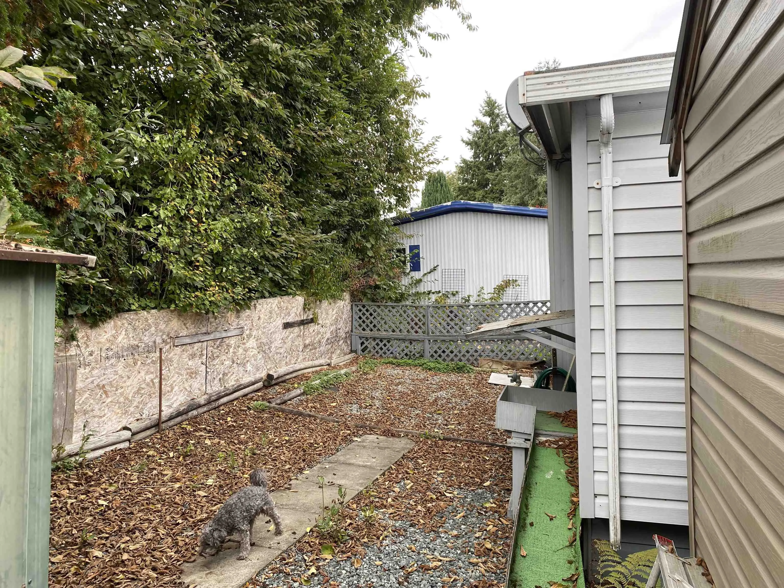 42 13650 80 Street