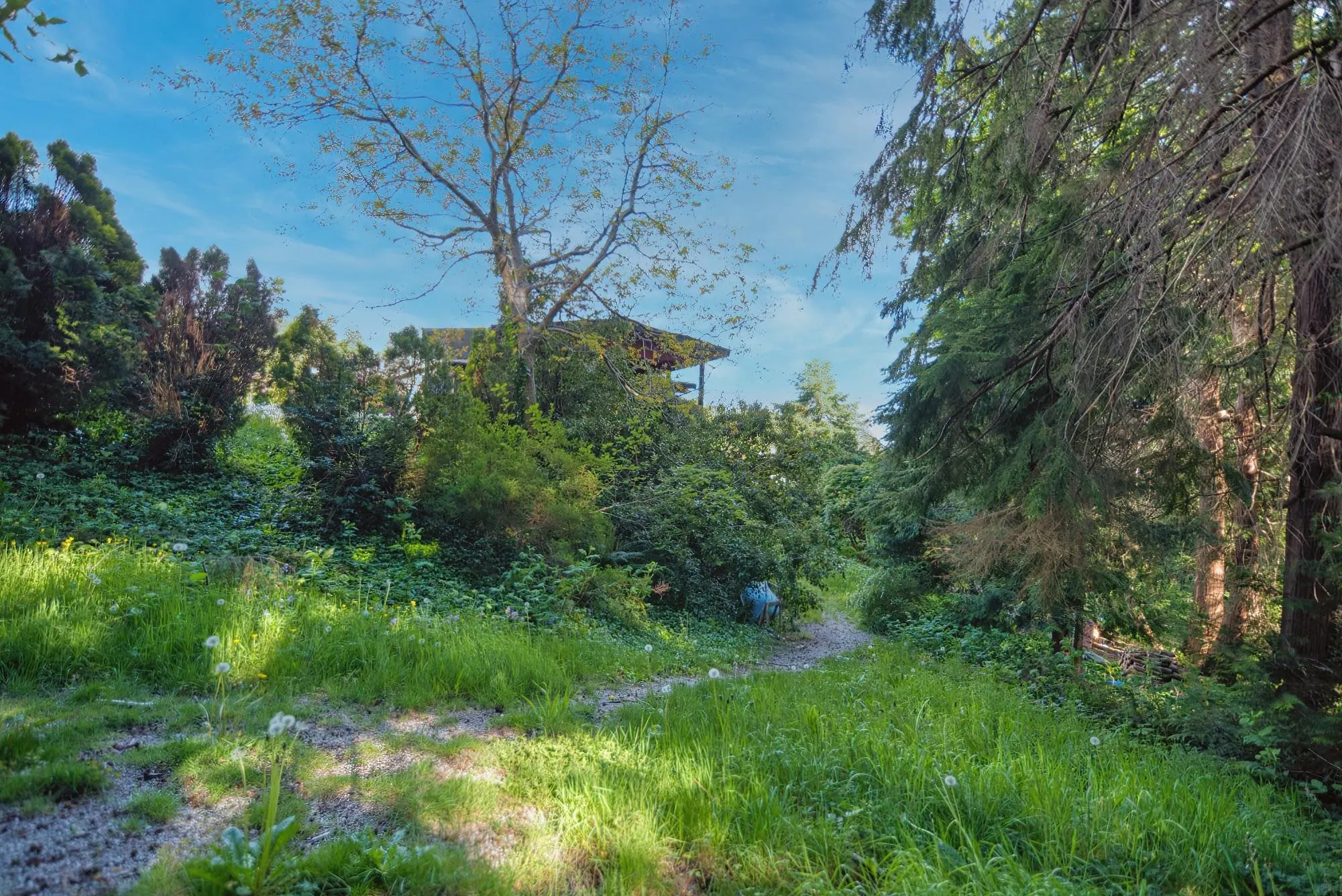 6533 Meier Road