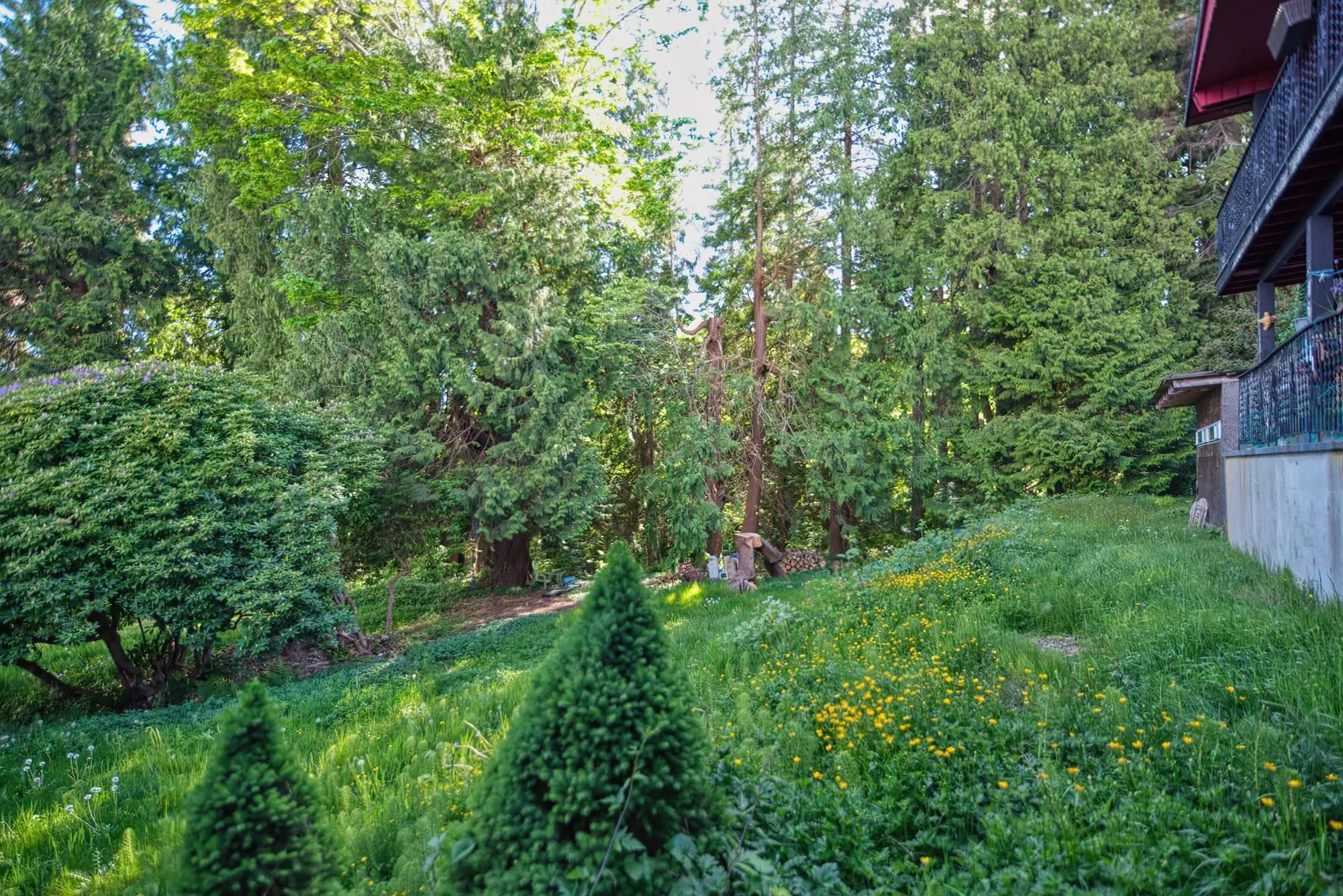 6533 Meier Road