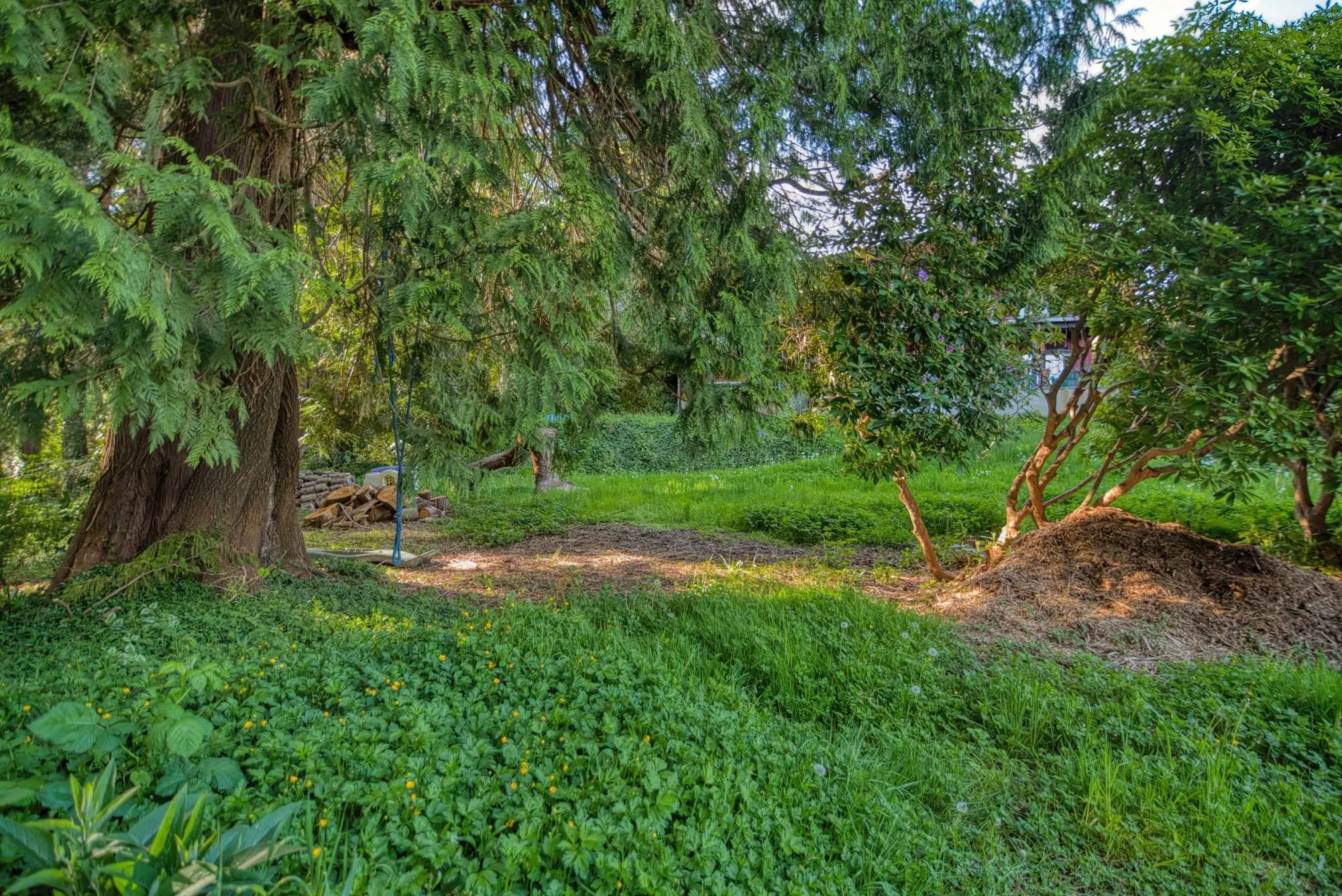 6533 Meier Road
